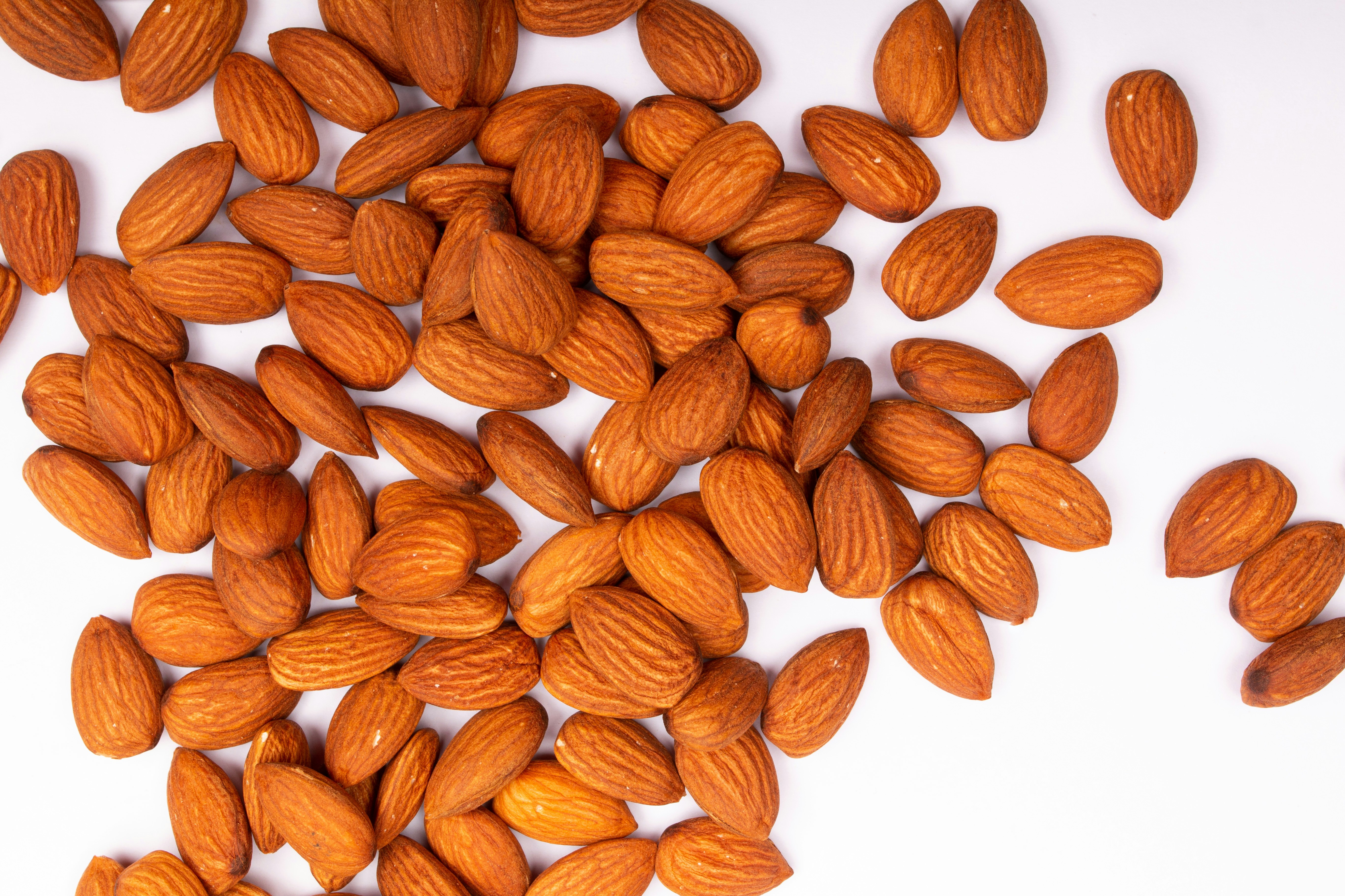 Photo by tamanna_rumee