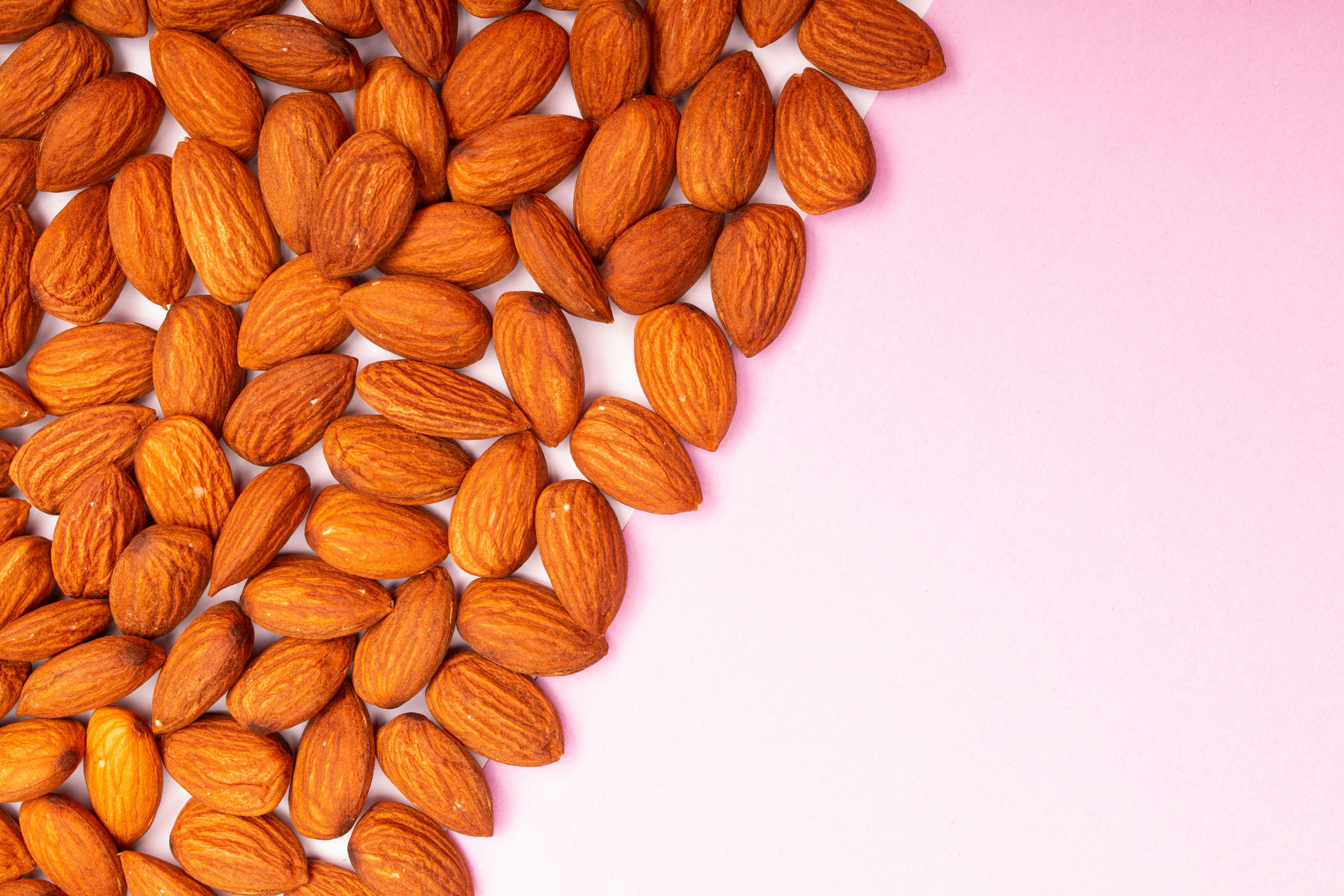 Photo by tamanna_rumee