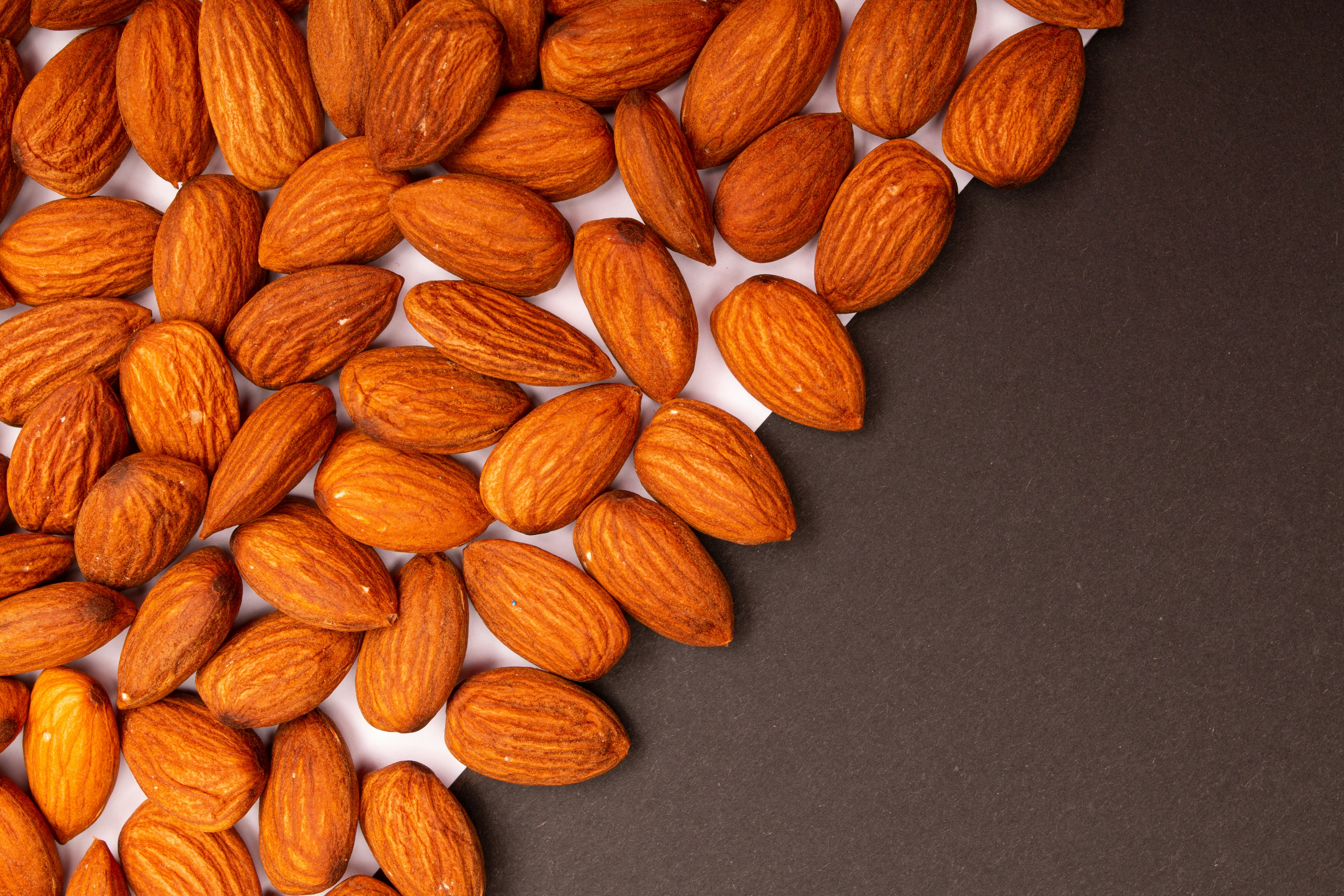 Photo by tamanna_rumee