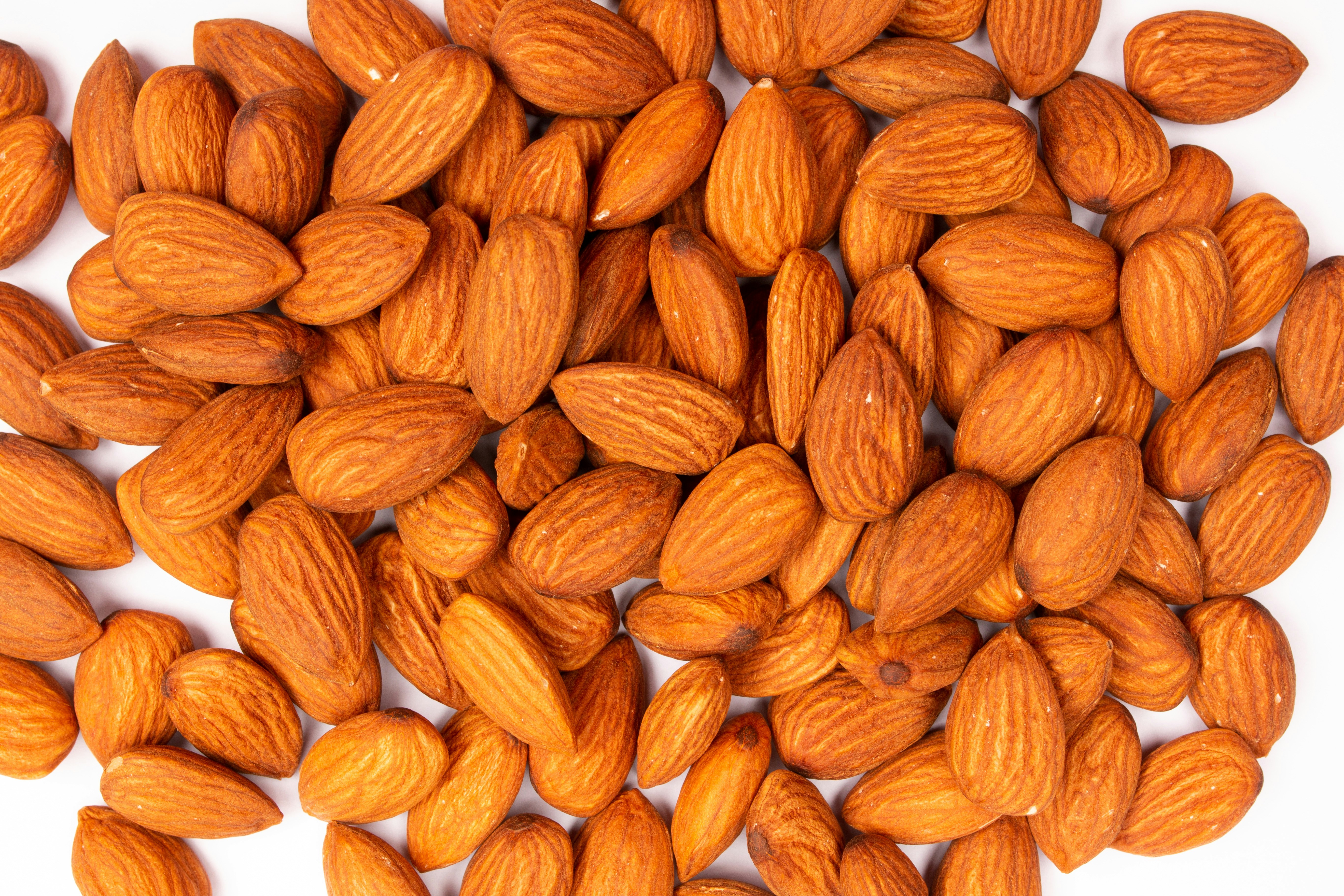 Photo by tamanna_rumee