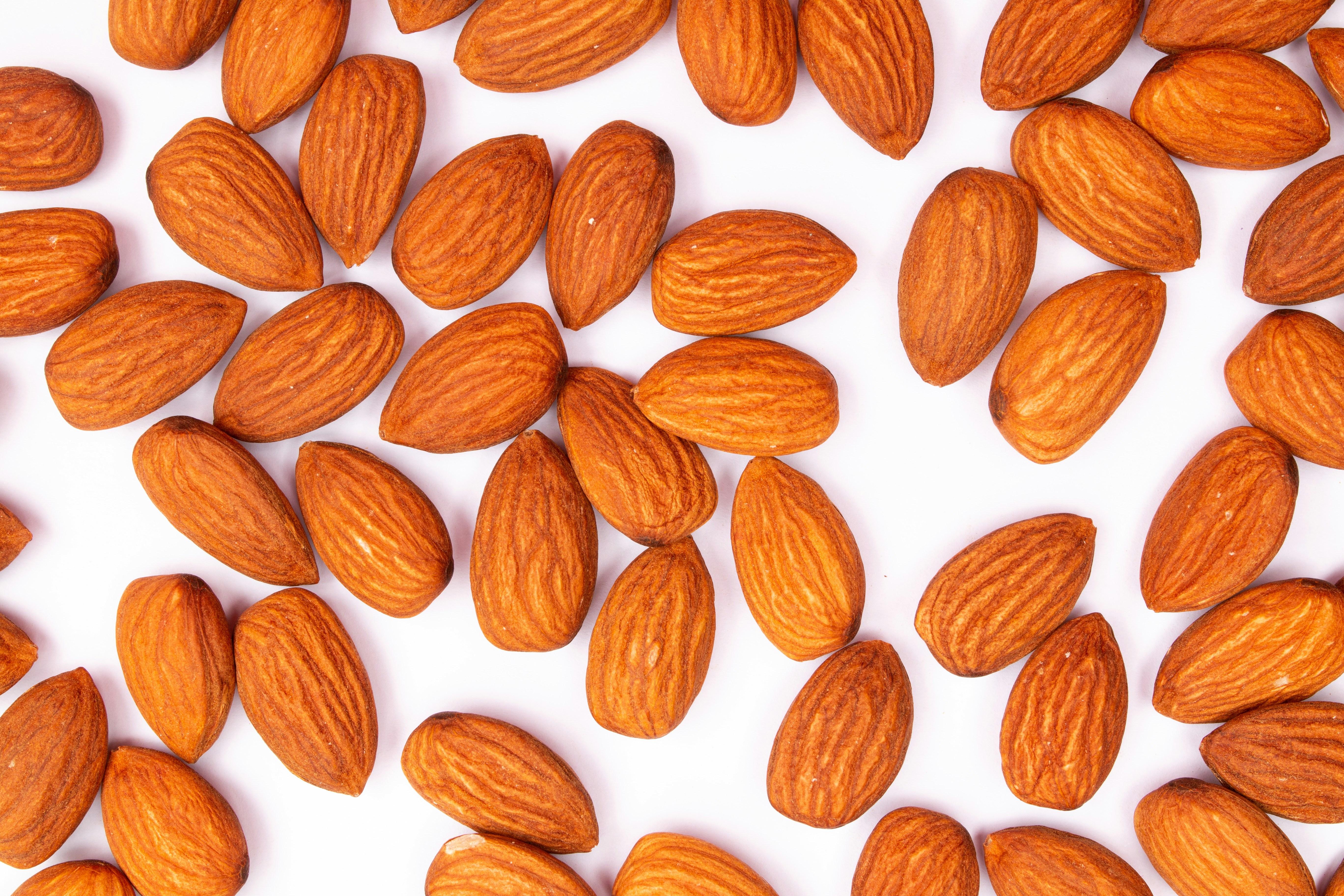 Photo by tamanna_rumee