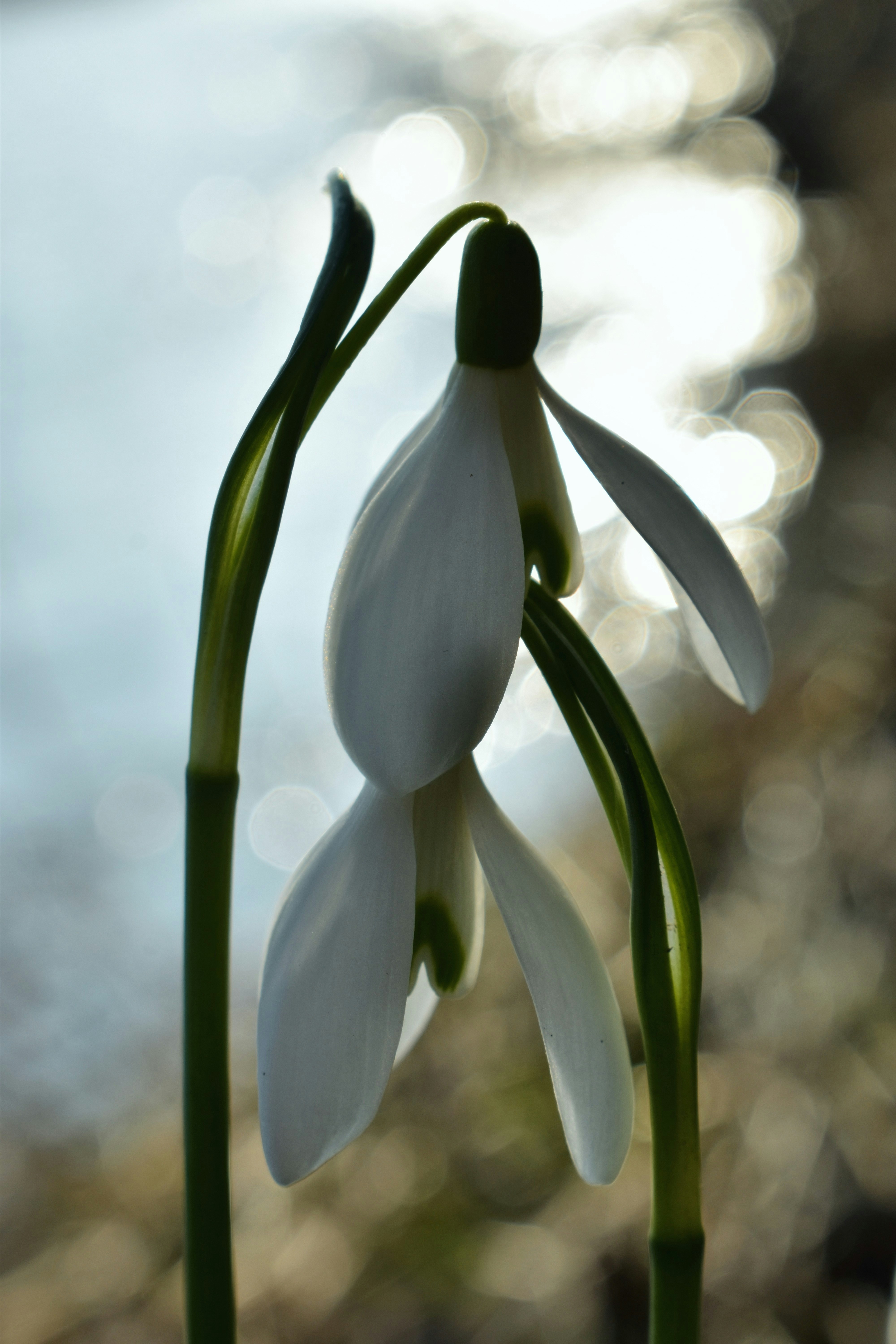 Photo by hejpetrpepa