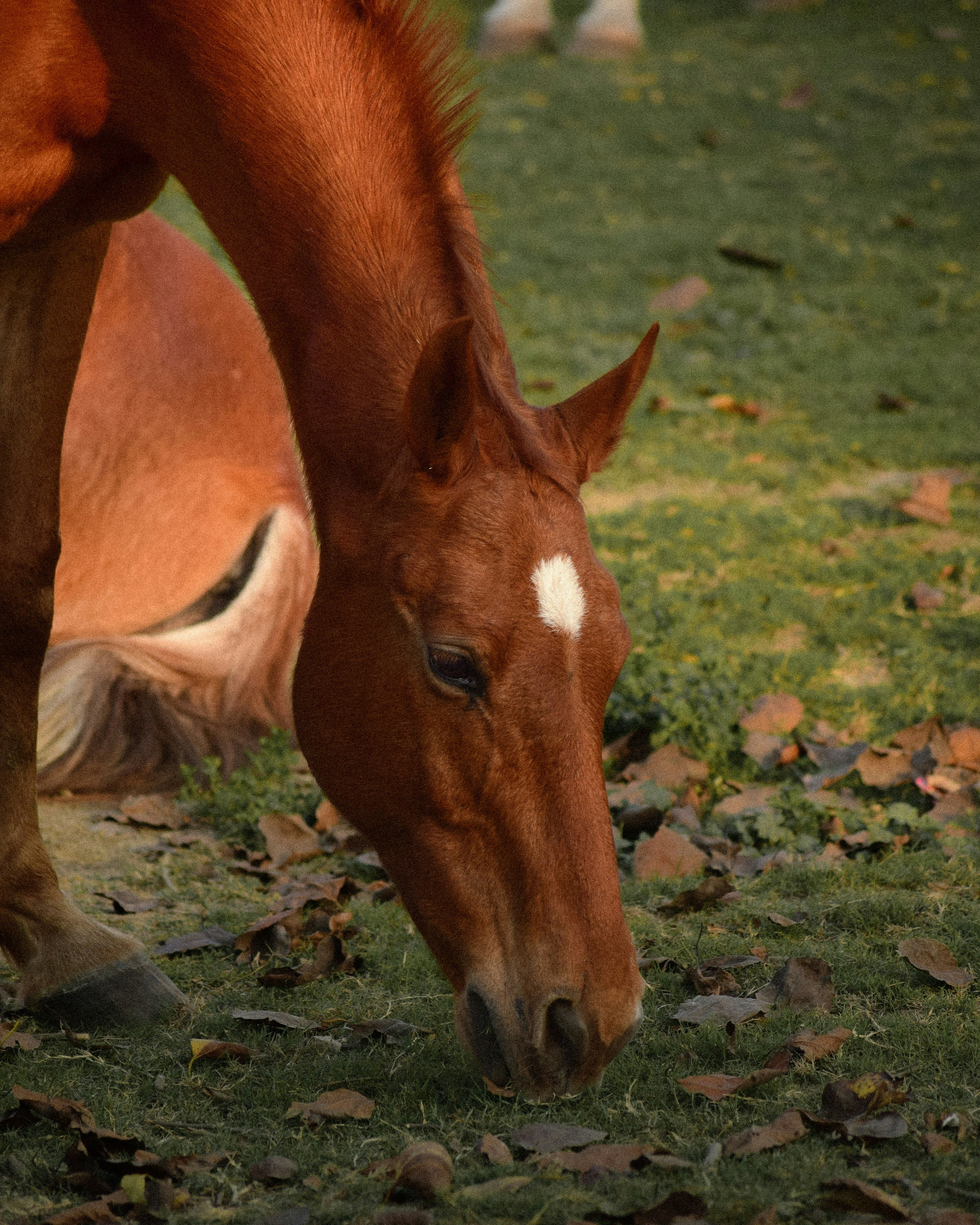 Photo by pixelbyzaki