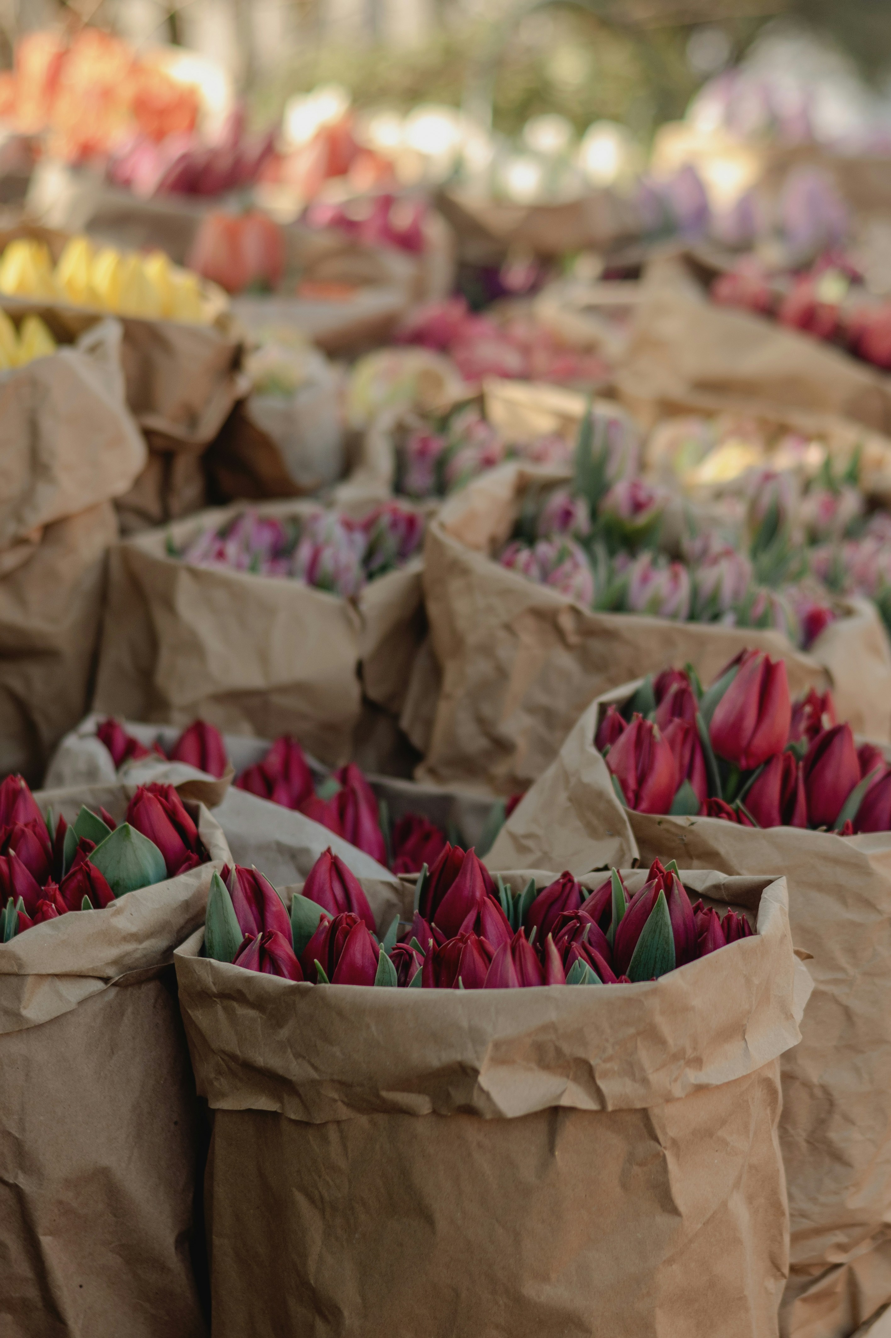 Photo by eugenivy_now