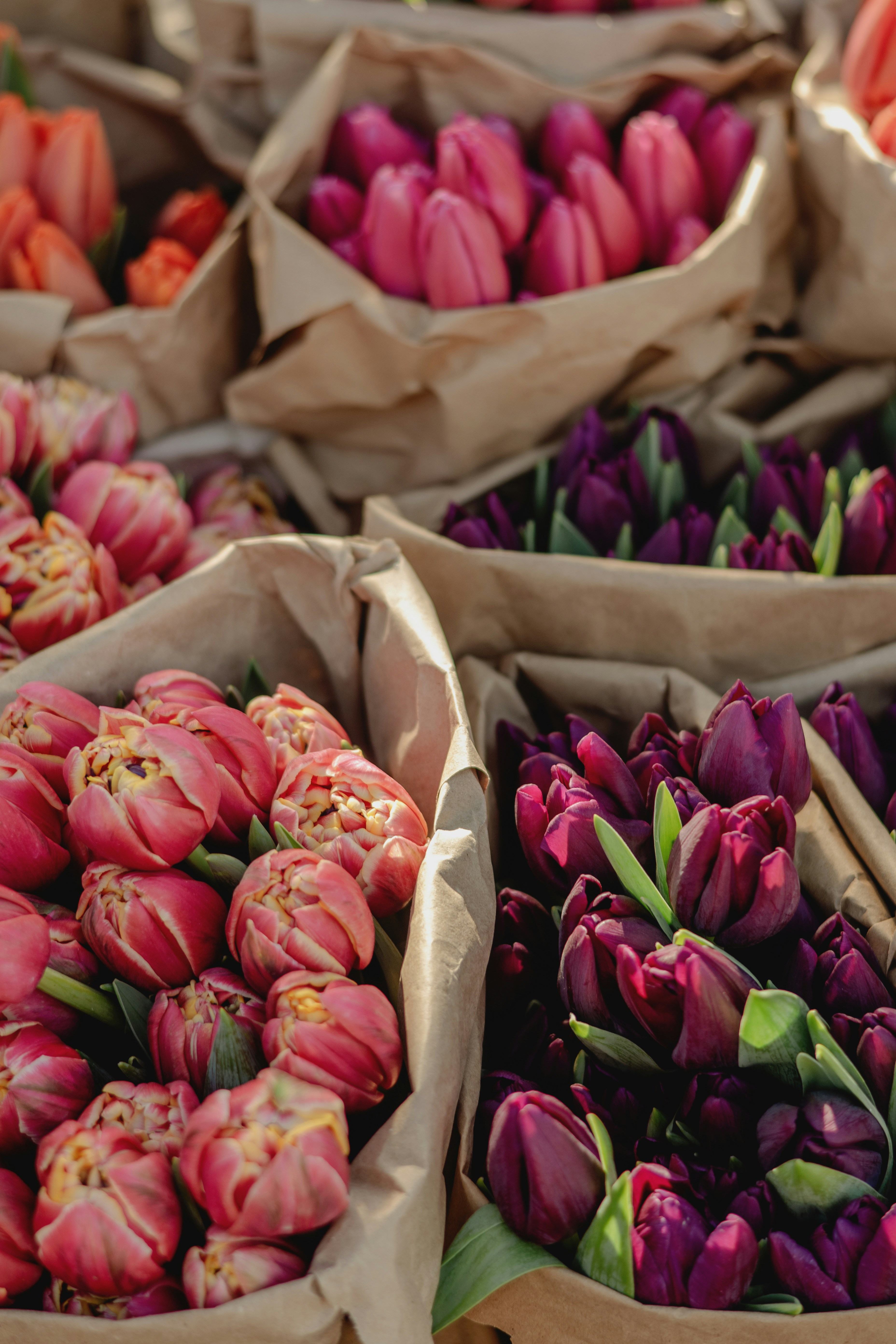 Photo by eugenivy_now