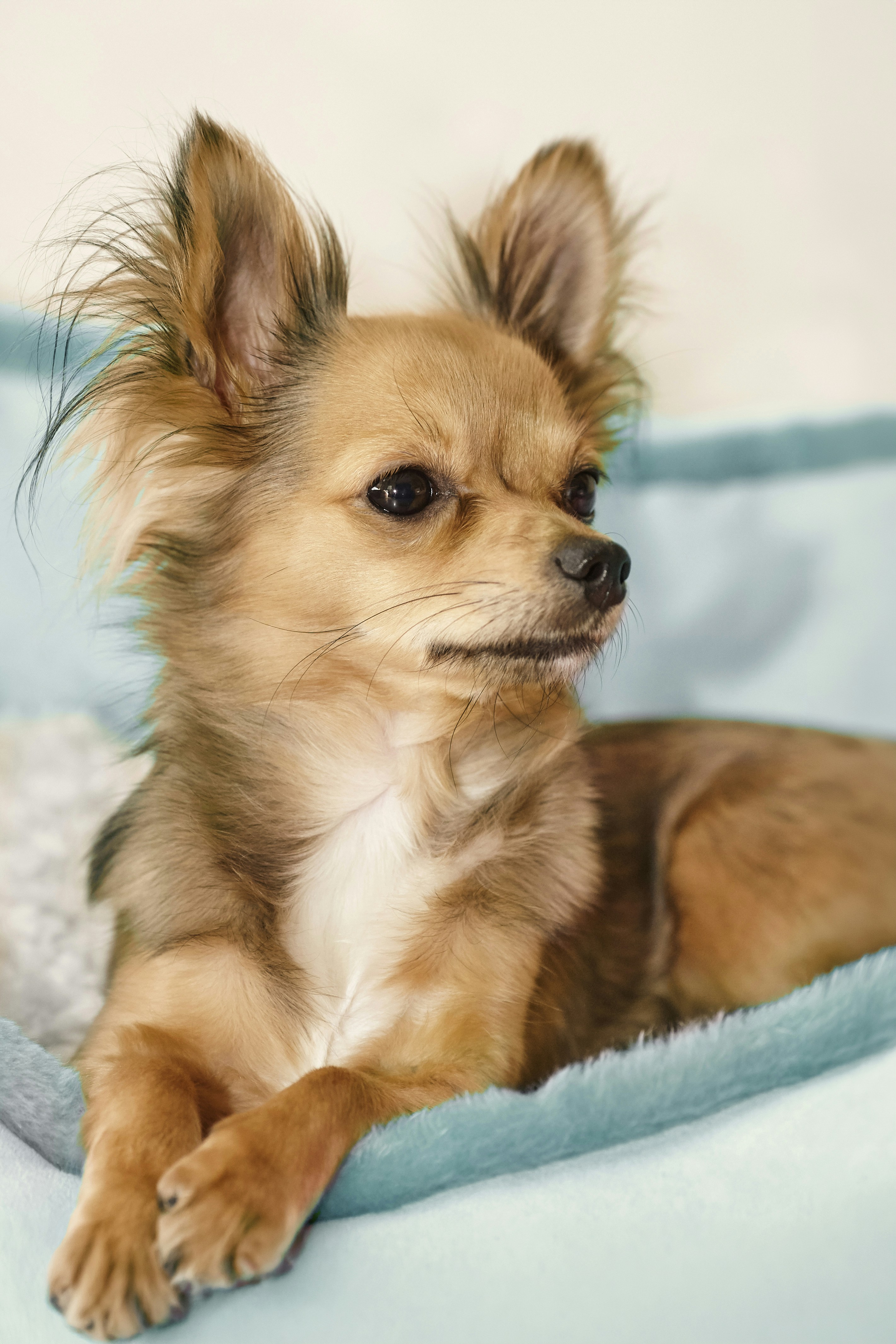 Photo by erwinbosman