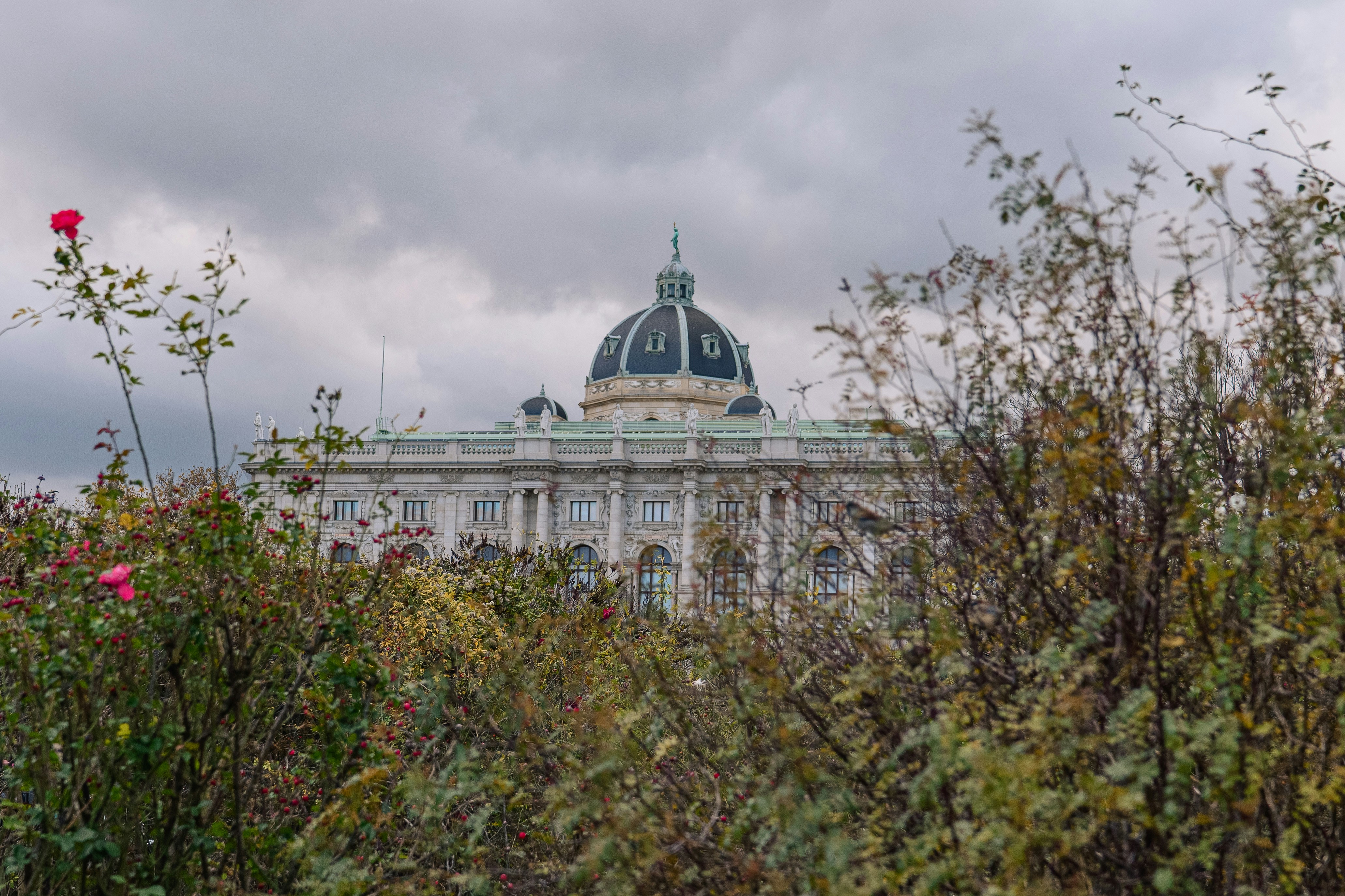 Photo by mathisvisuals