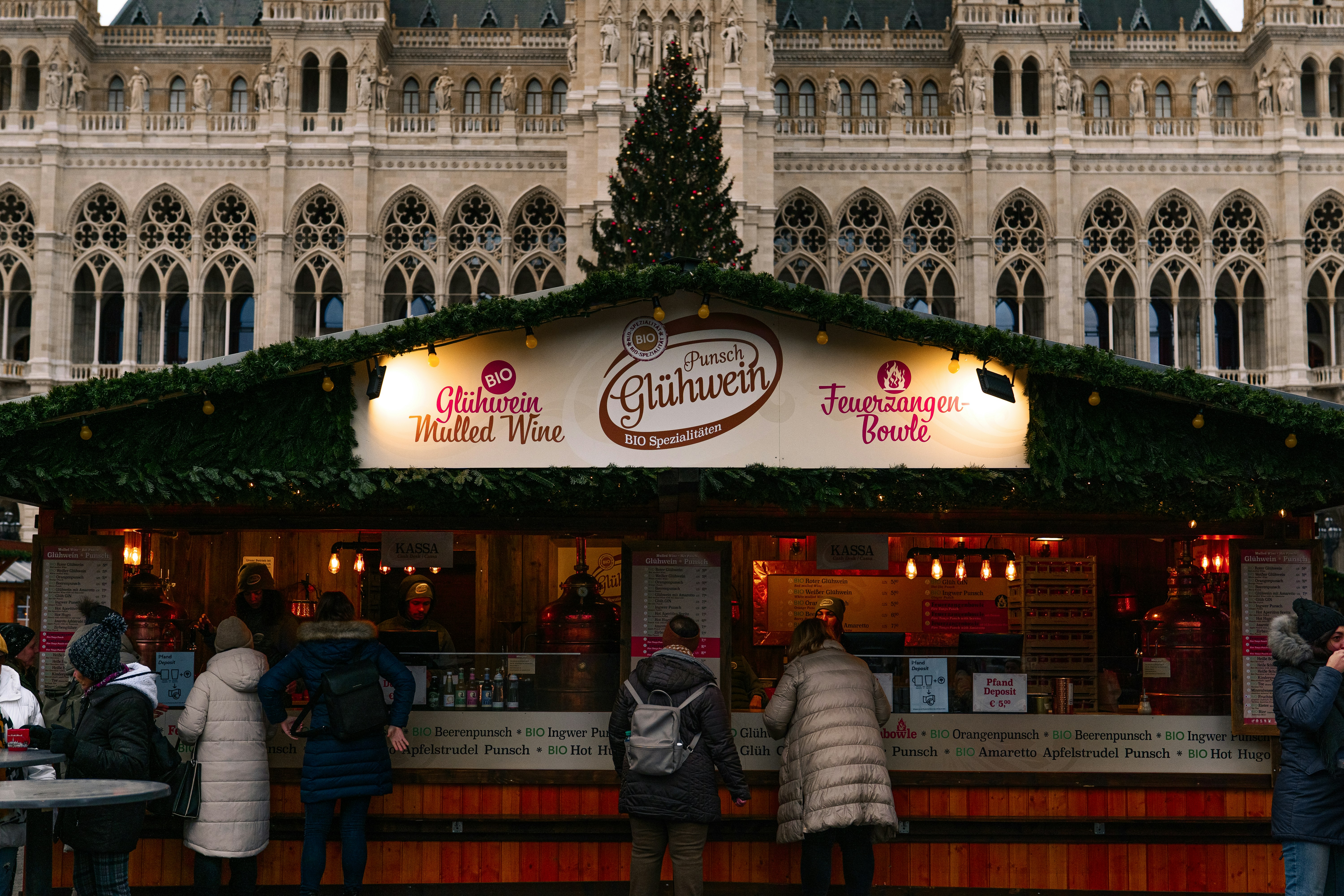 Vienna City Hall photo 3