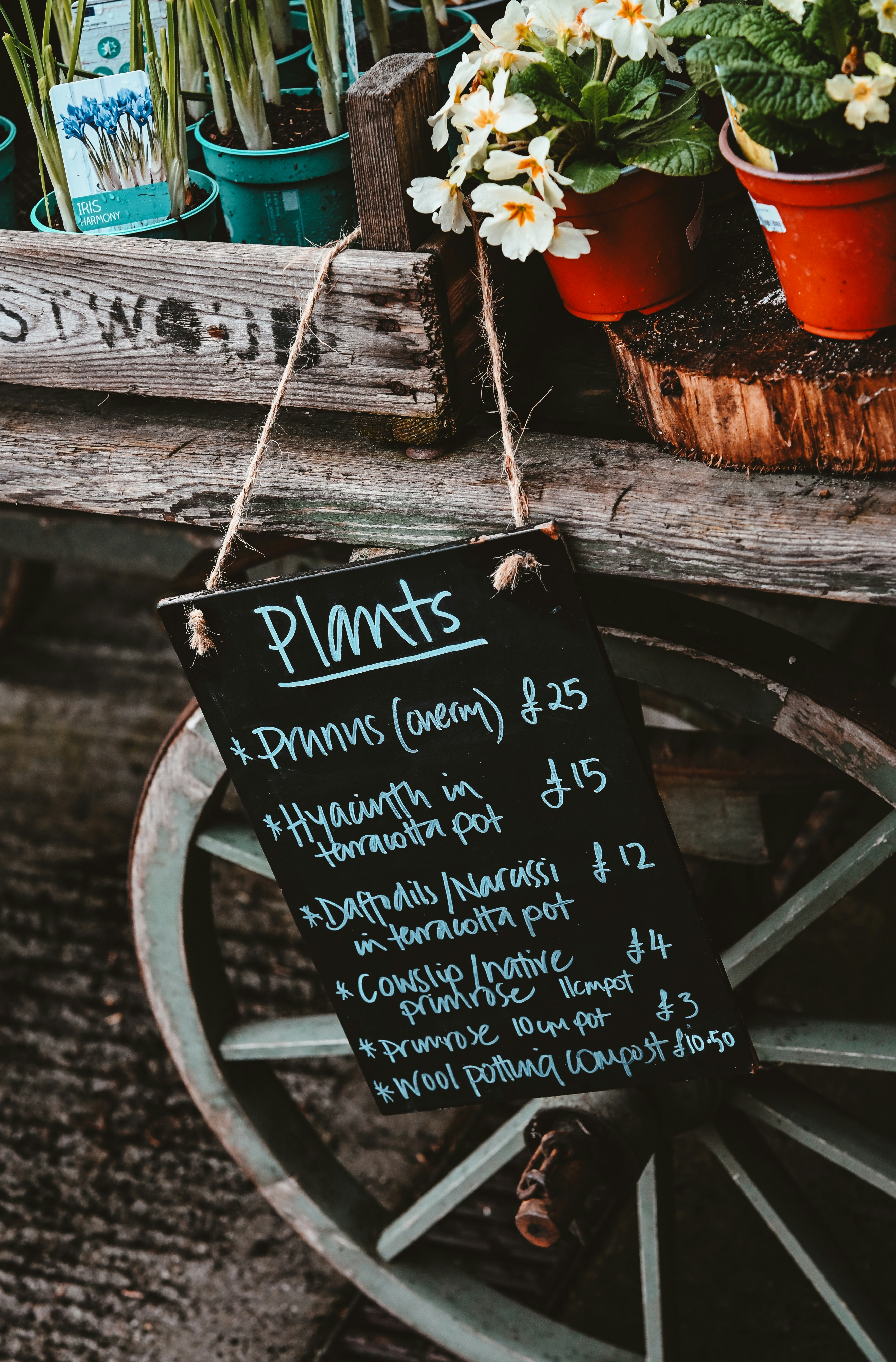 Chalkboard sign listing plants and prices at market stall.