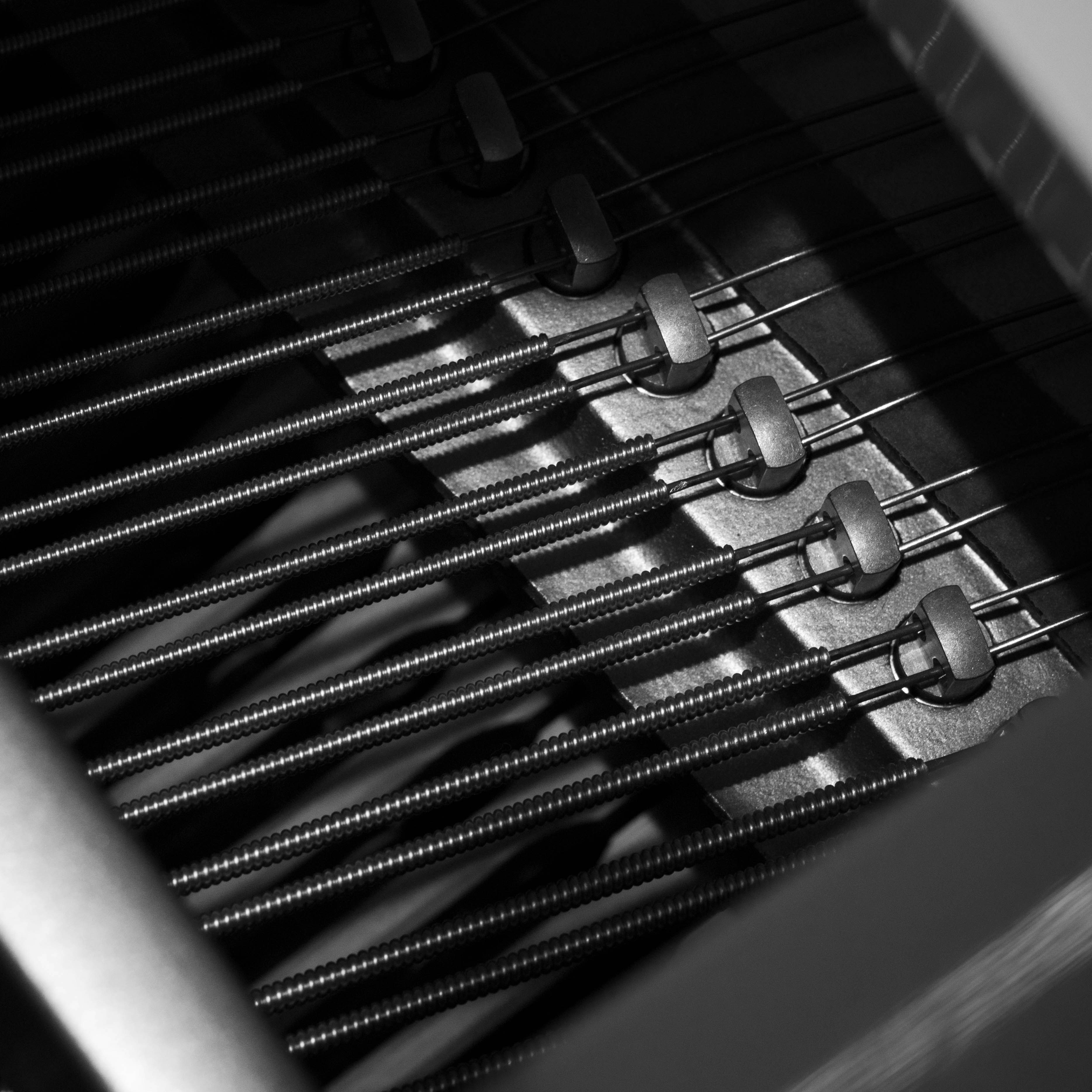 Photo by andrew_bright