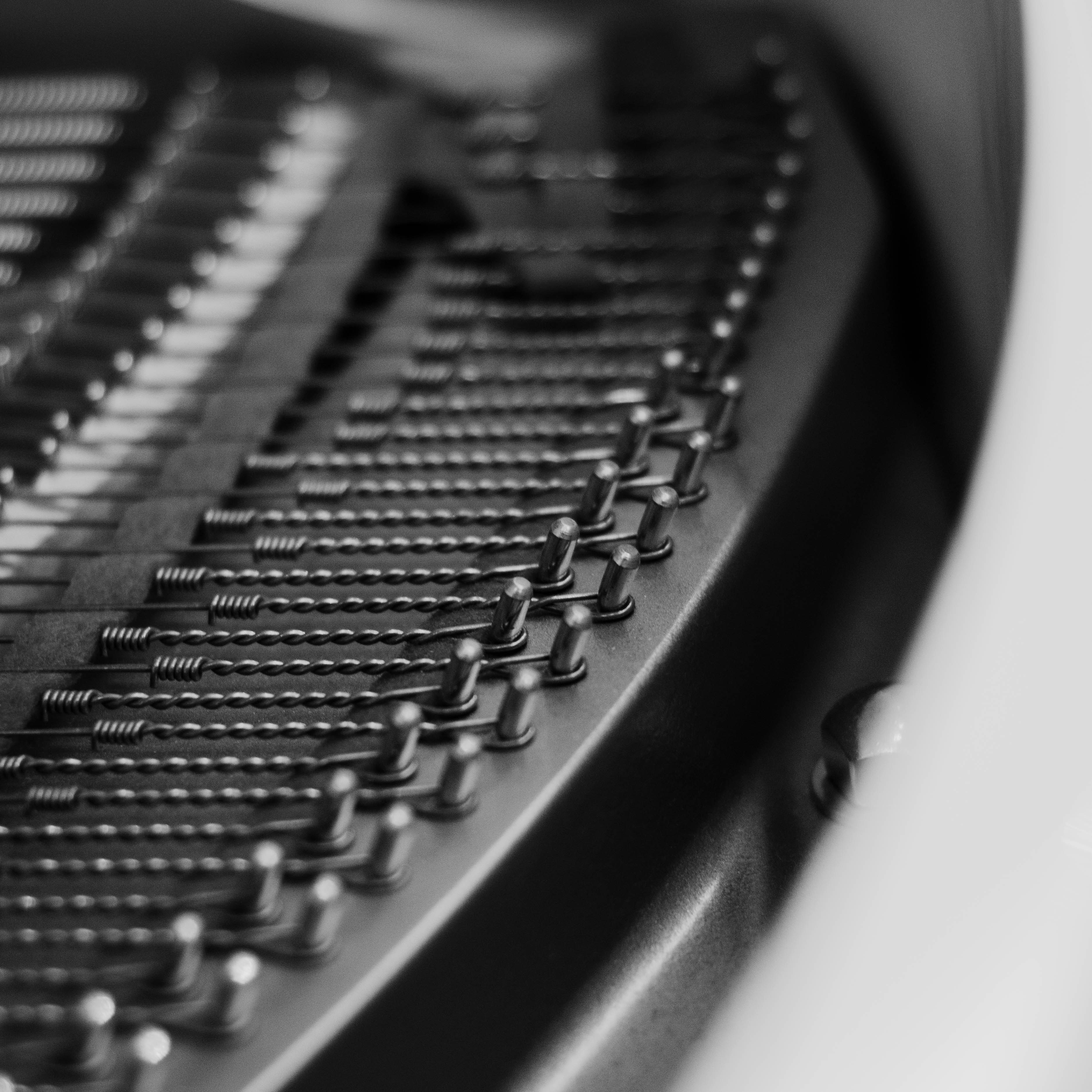 Photo by andrew_bright