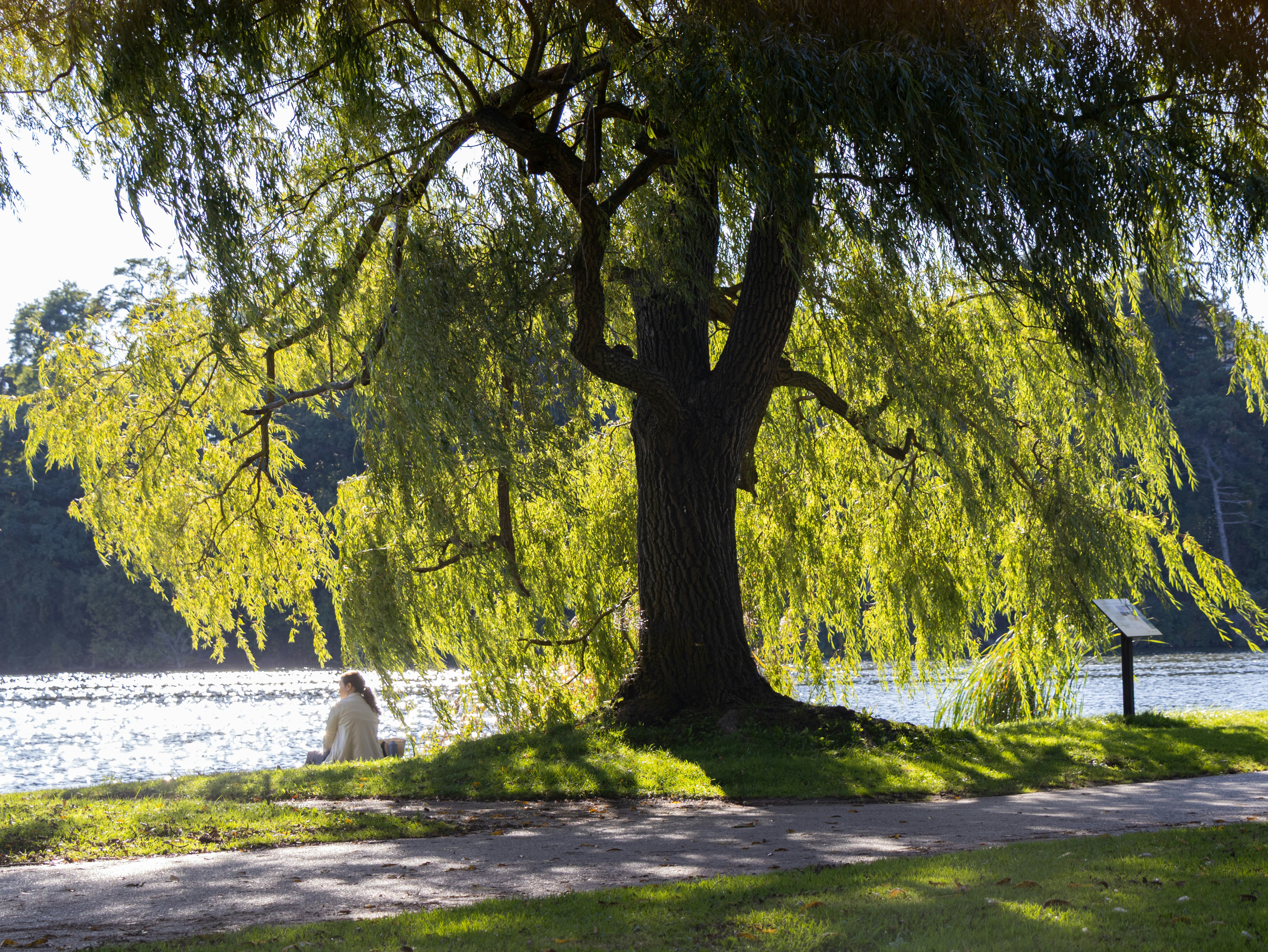 Photo by joblessgiraffe