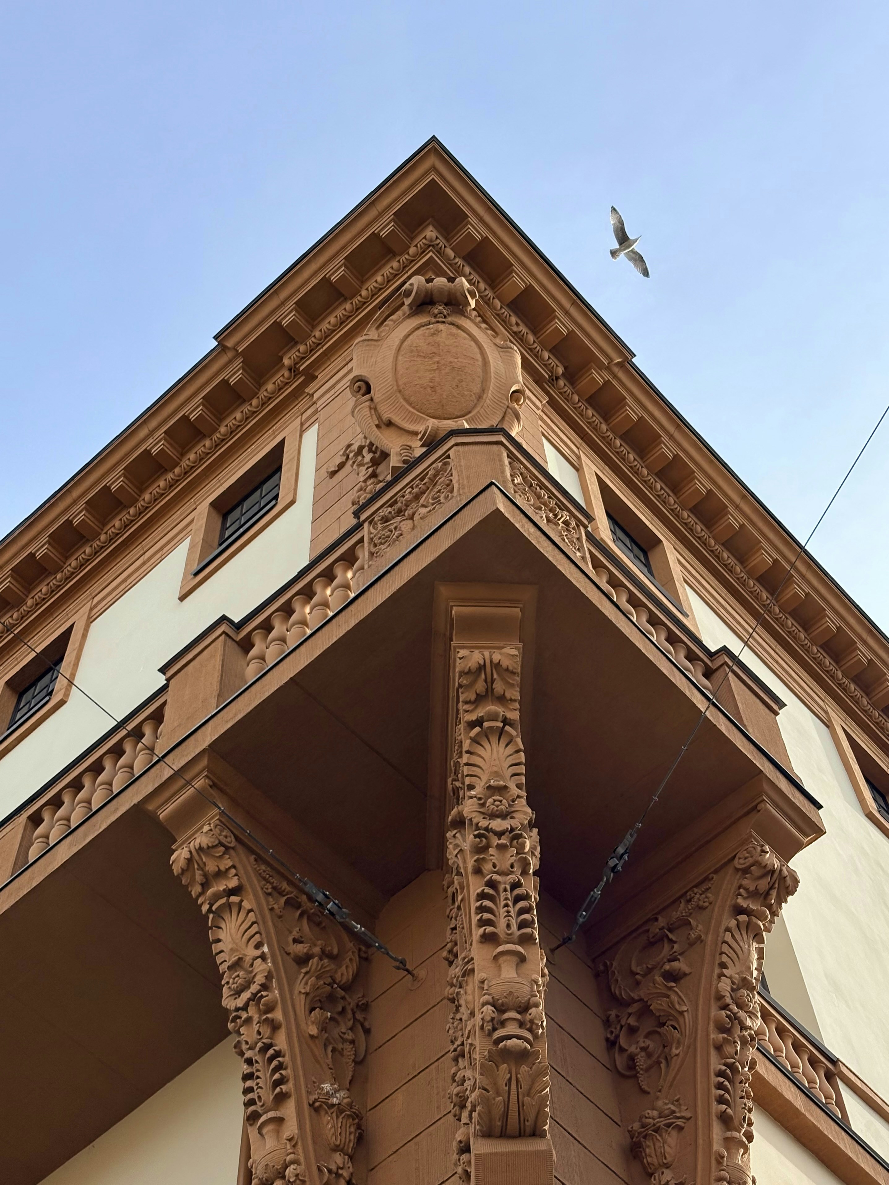 Photo by tashakostyuk