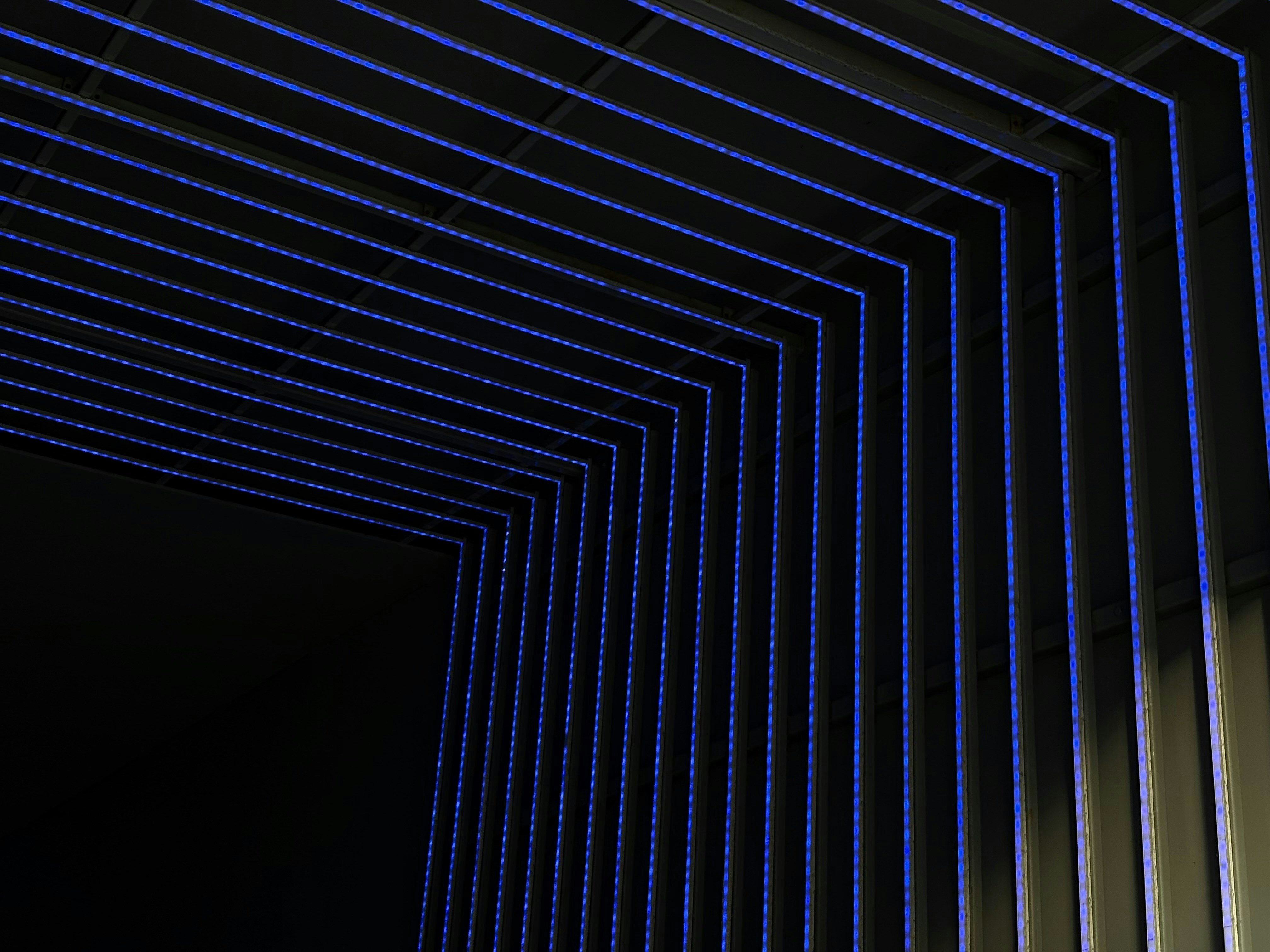 Photo by tashakostyuk