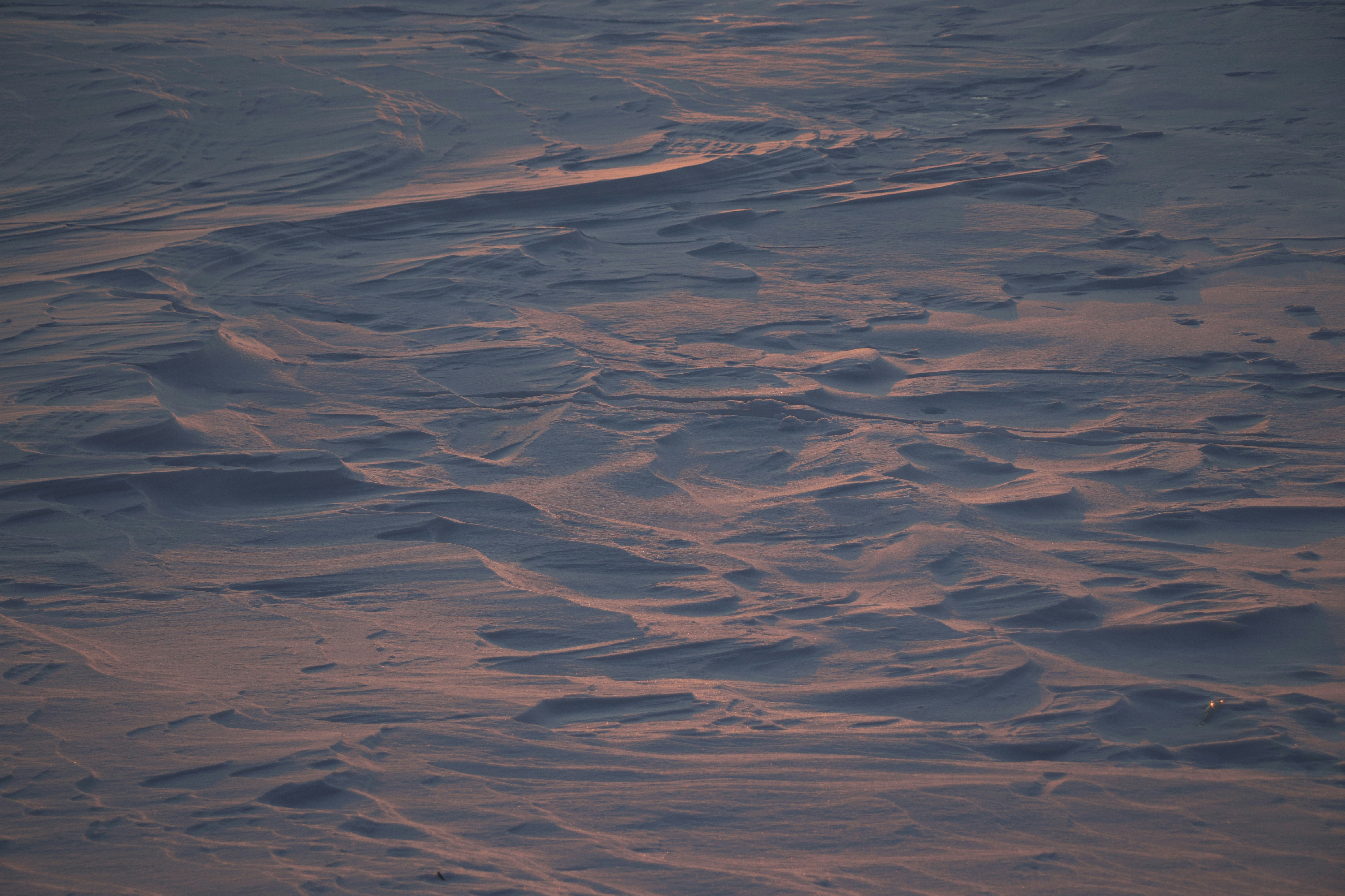 Photo by joblessgiraffe