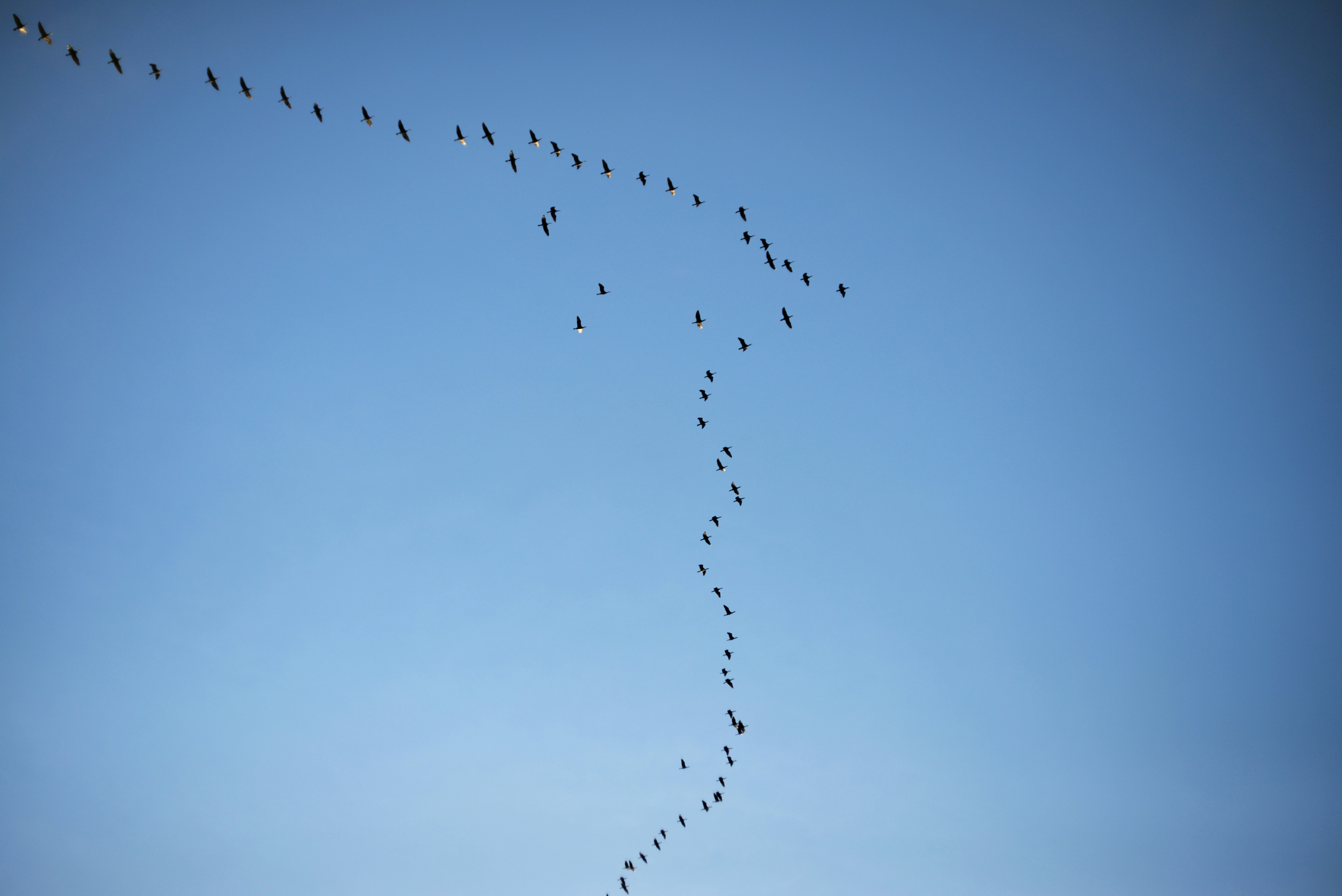 Photo by cherstve_pechivo