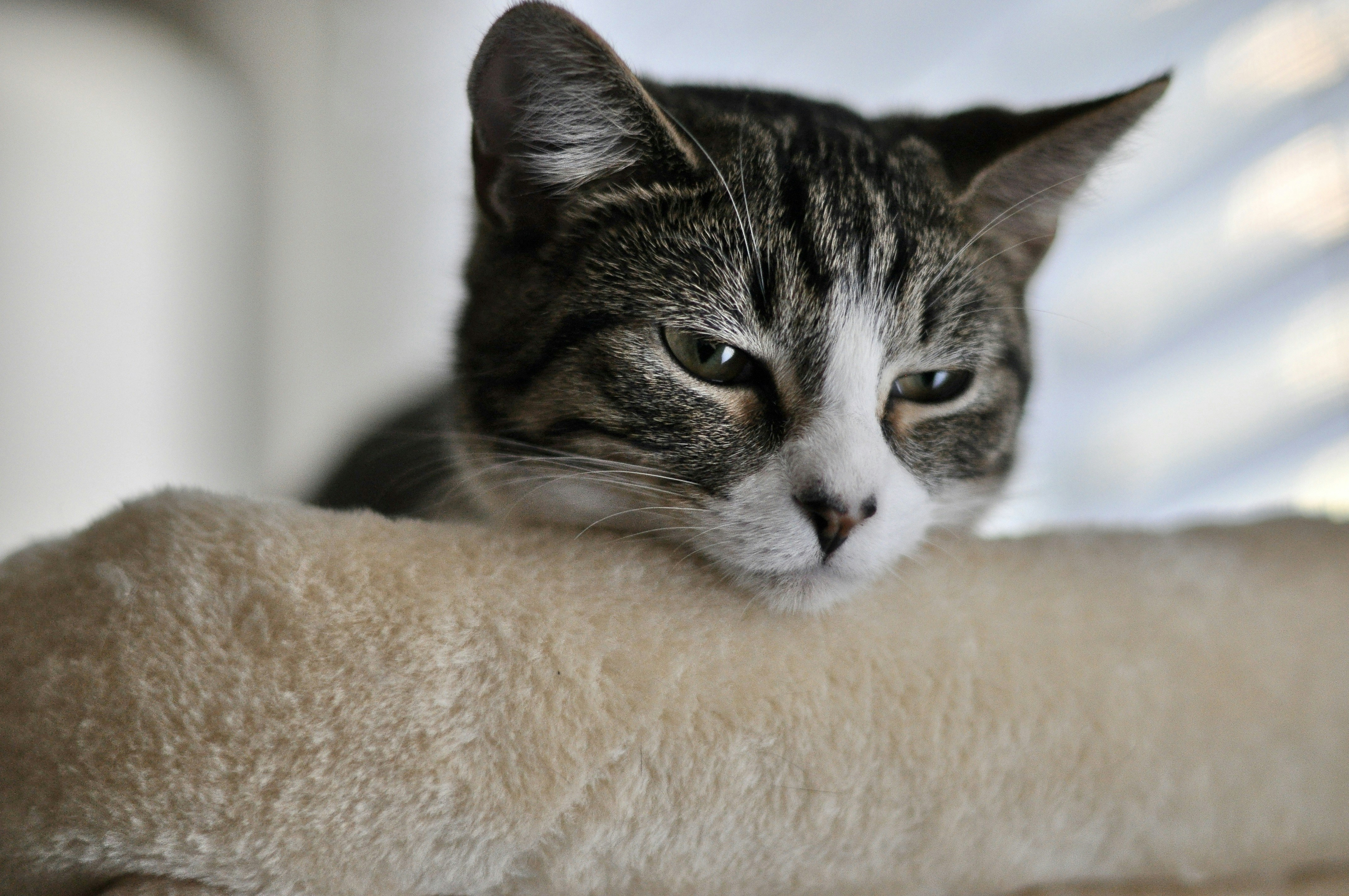 Photo by cameramandan83