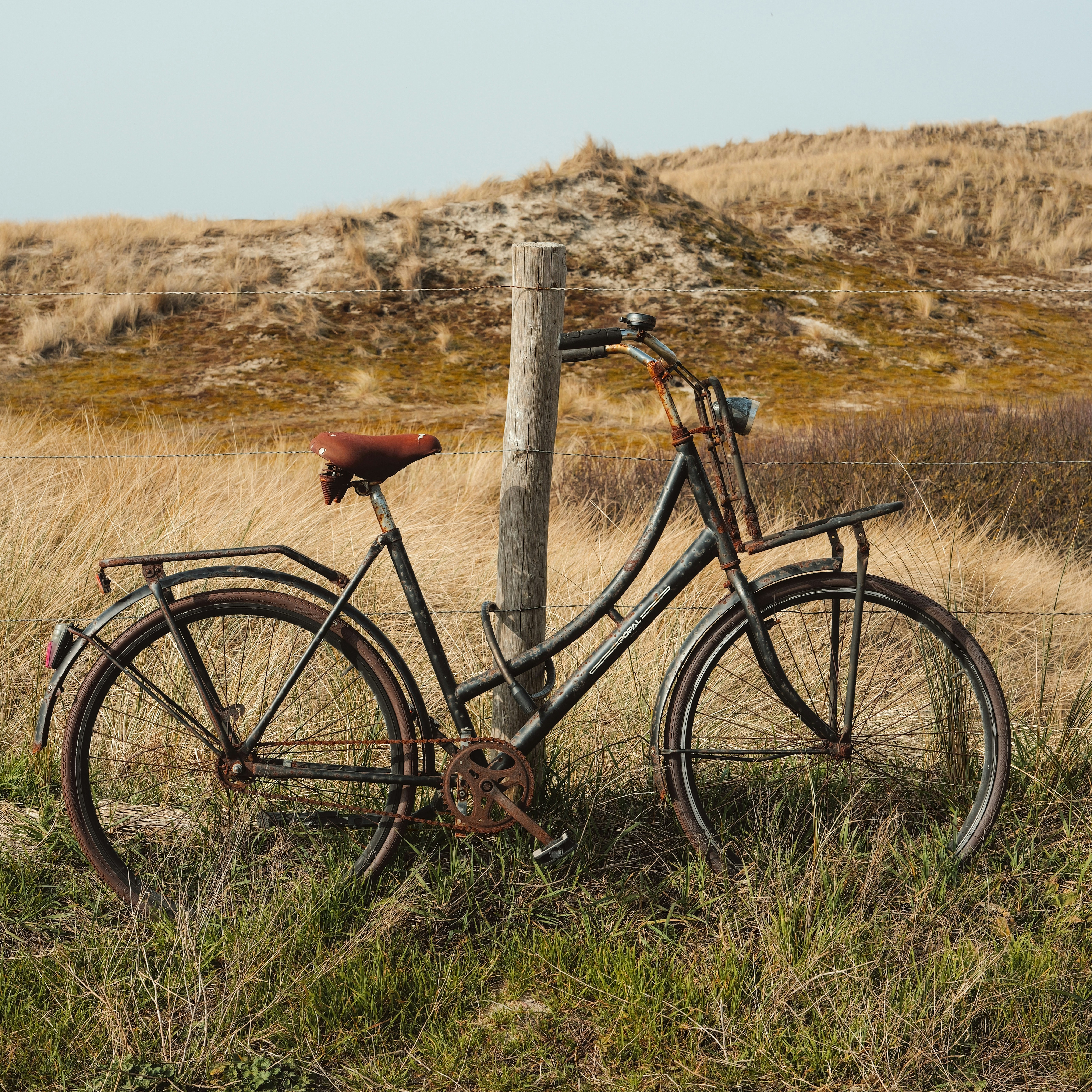 Old bicycle leaning against a wooden post outdoors