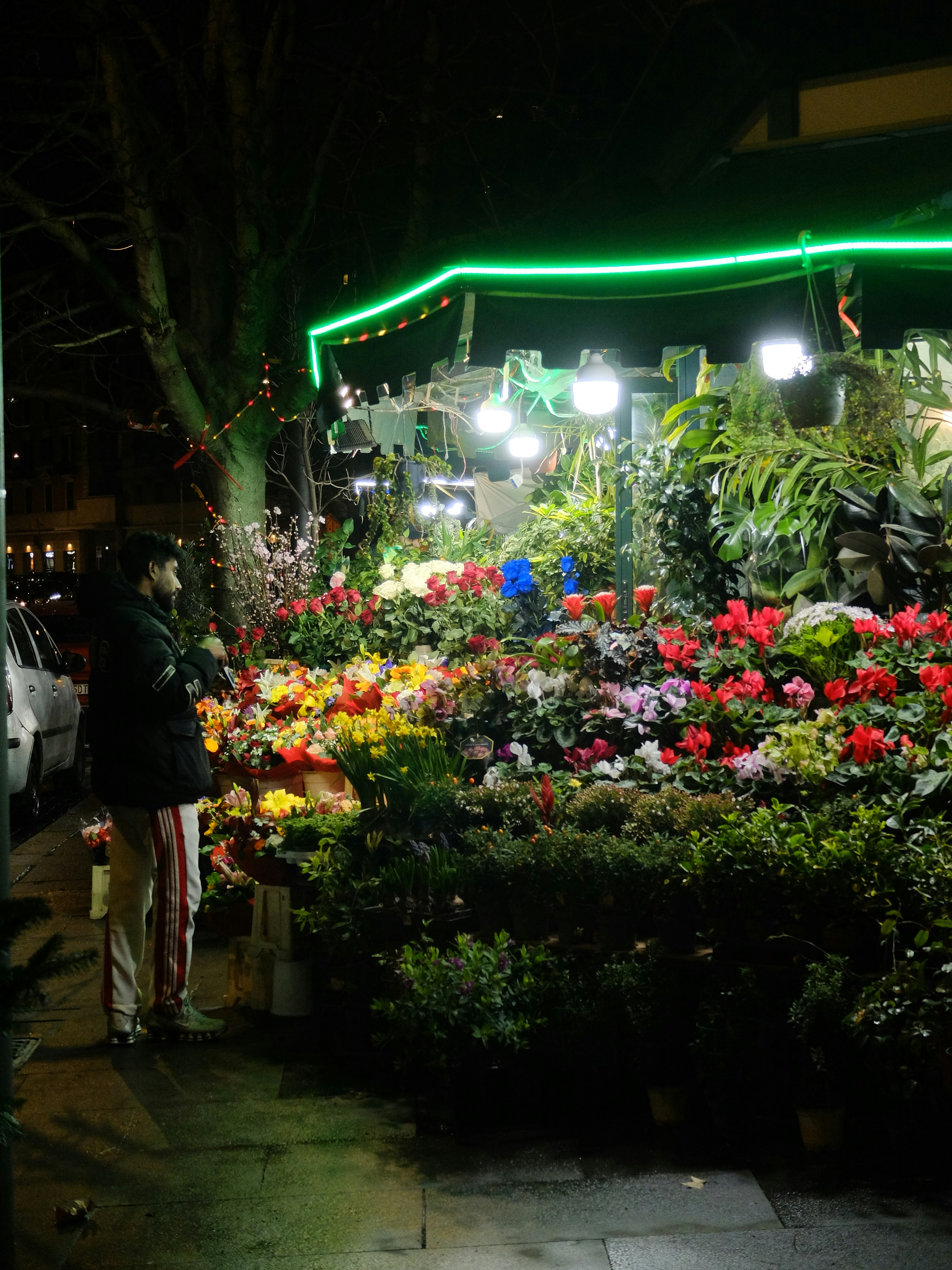 Gardening idea 5