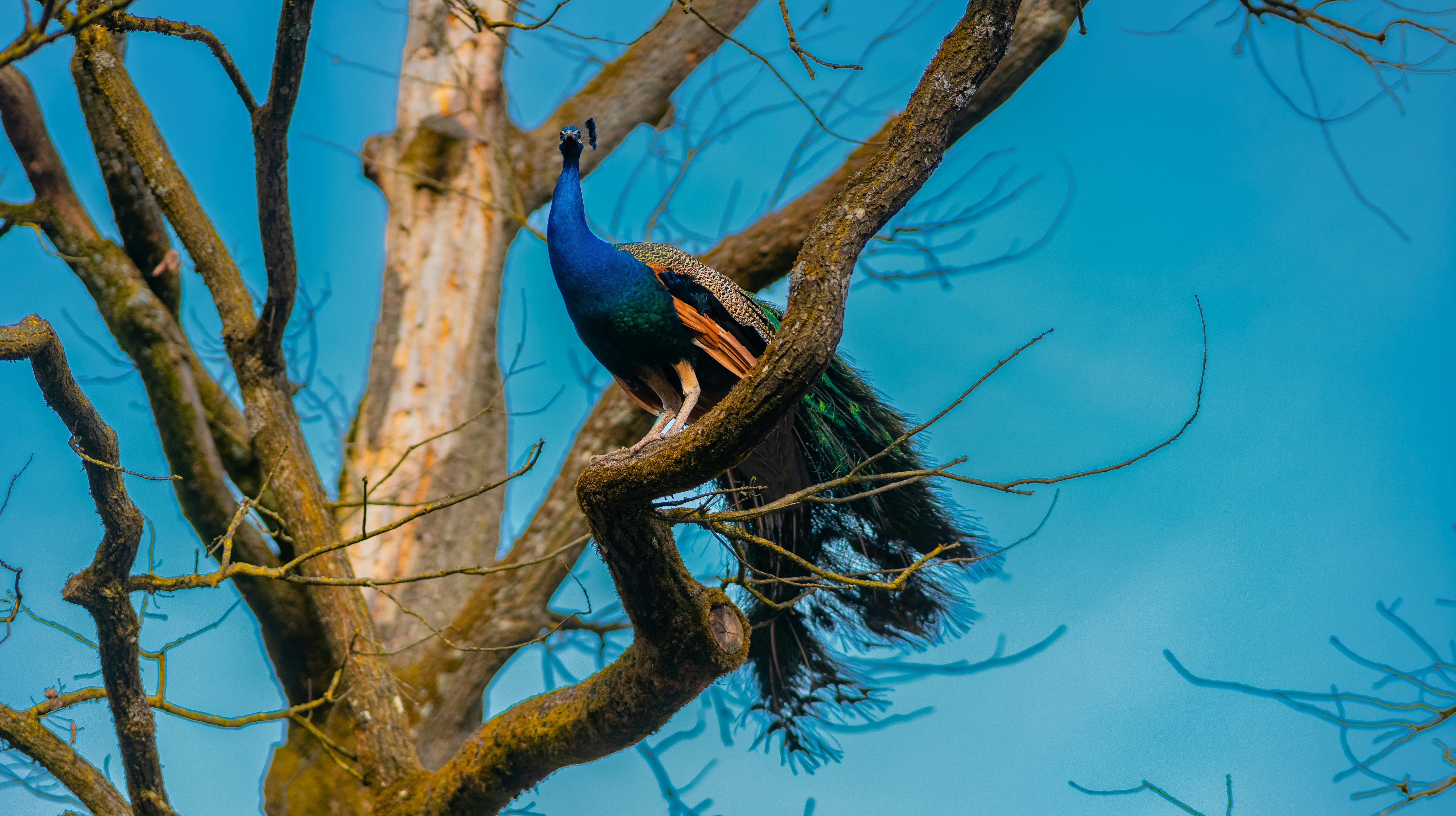 Photo by jahan_photobox