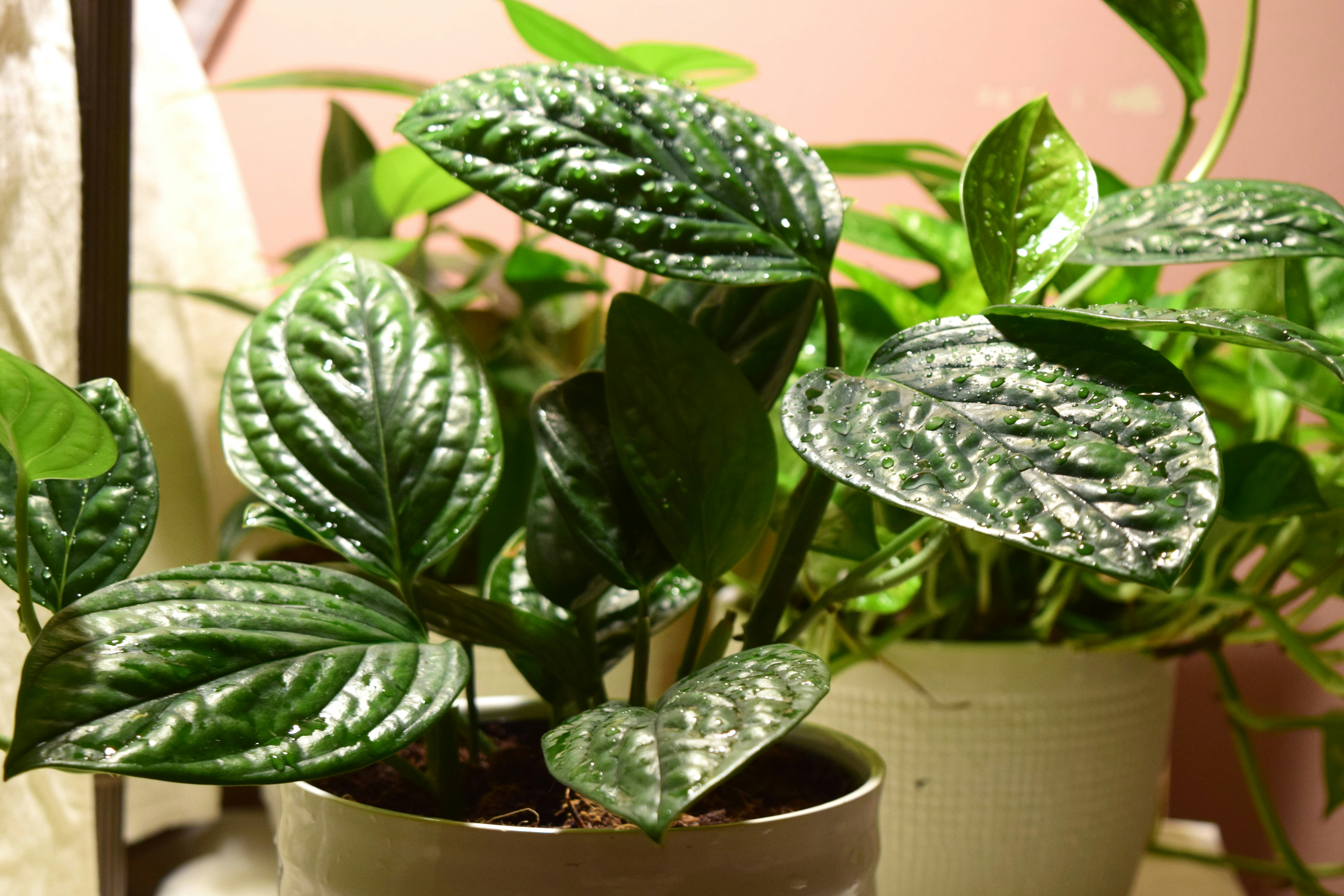 Photo by rebeccamatthews