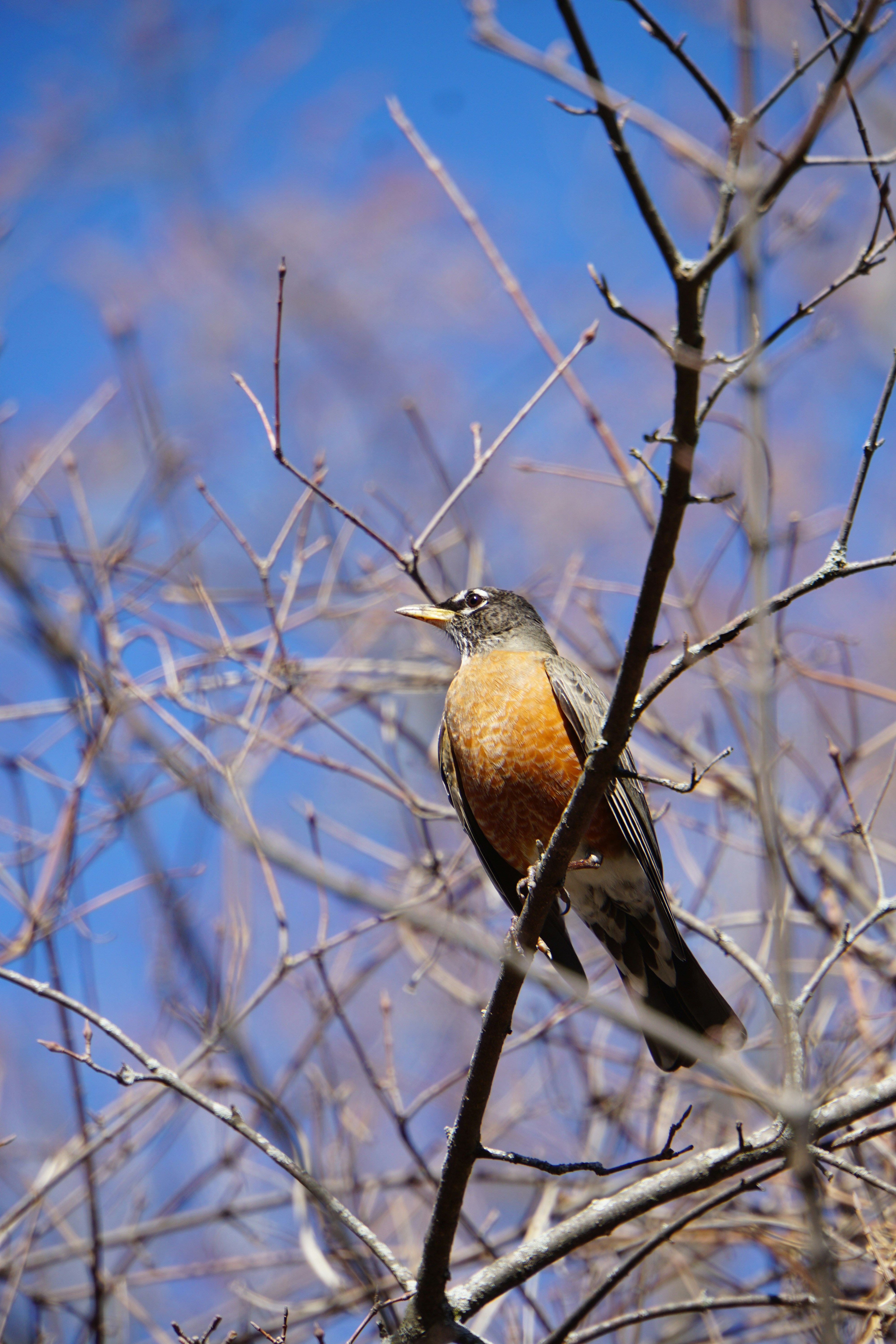 Photo by bramkineman