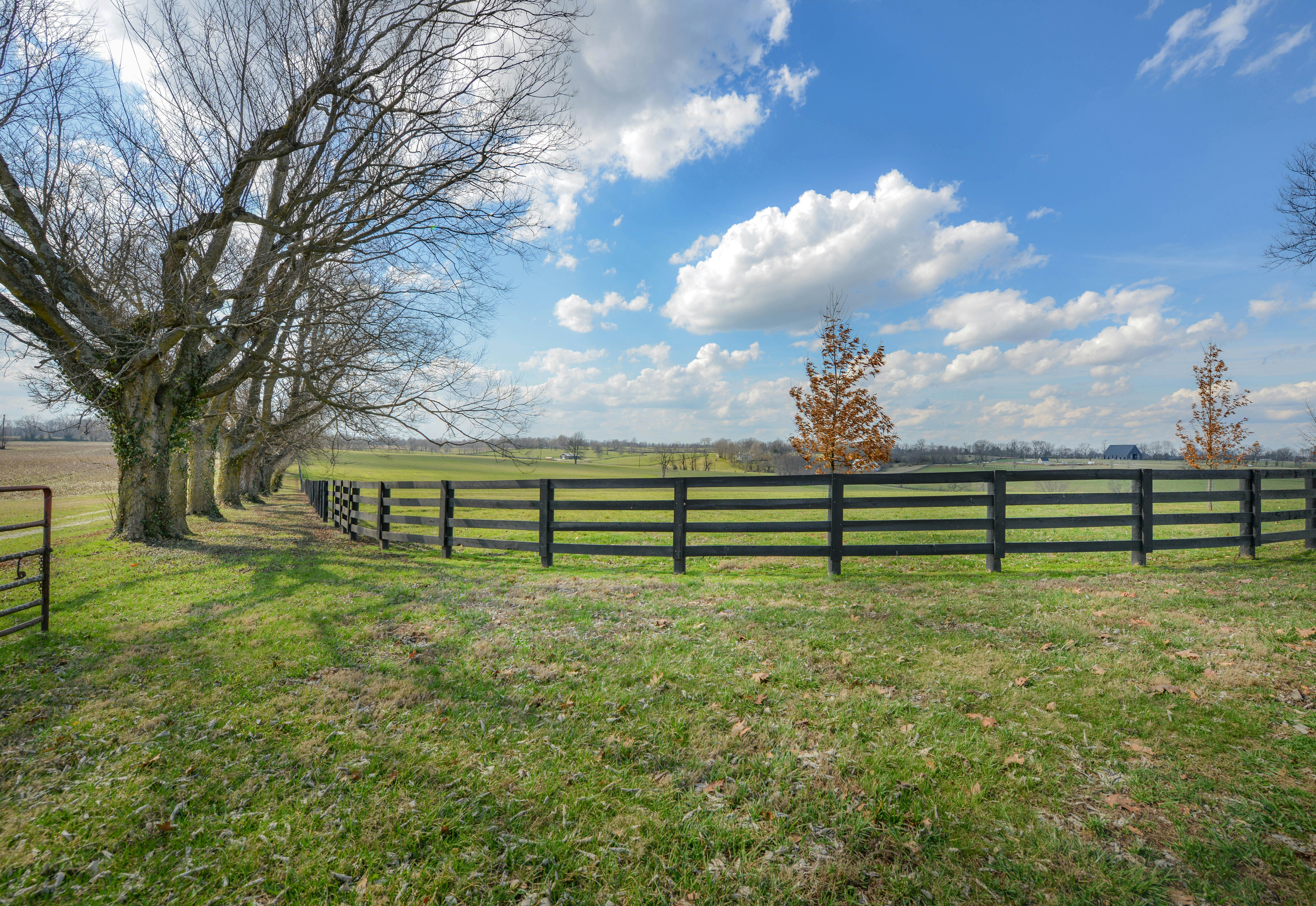 A rural landscape with a black wooden fence and trees.