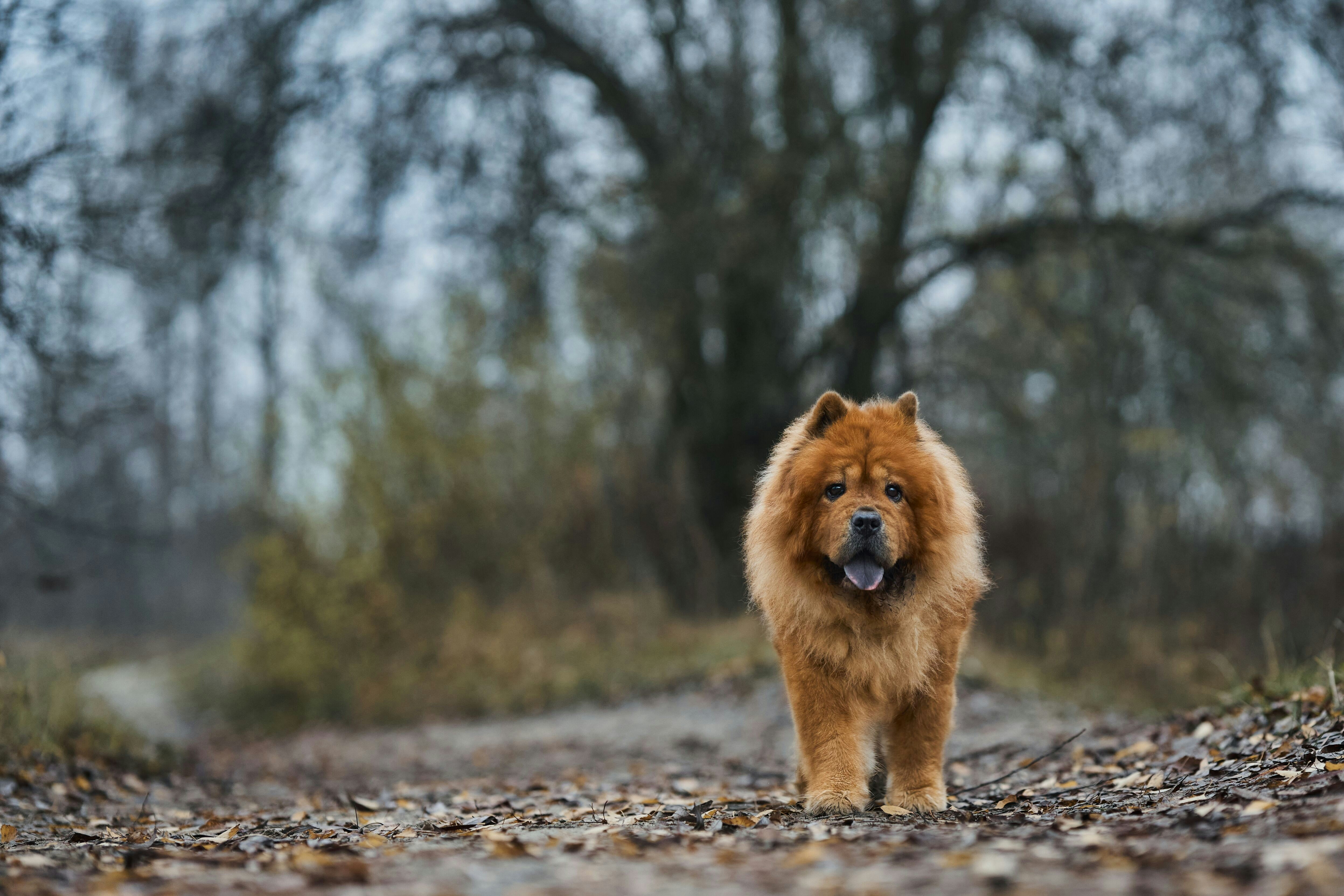 Photo by lukasz_rawa