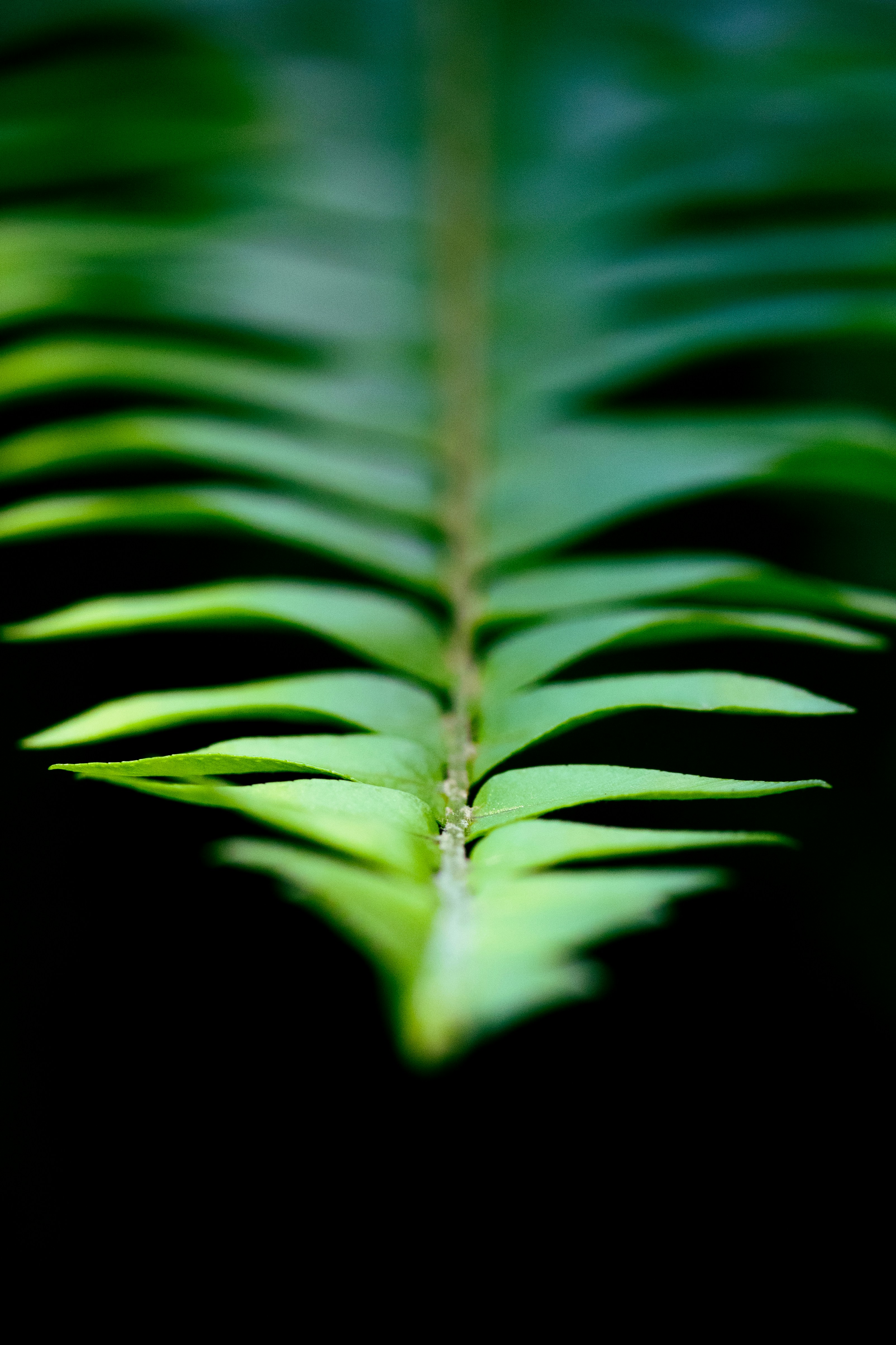 Photo by nicole_vans