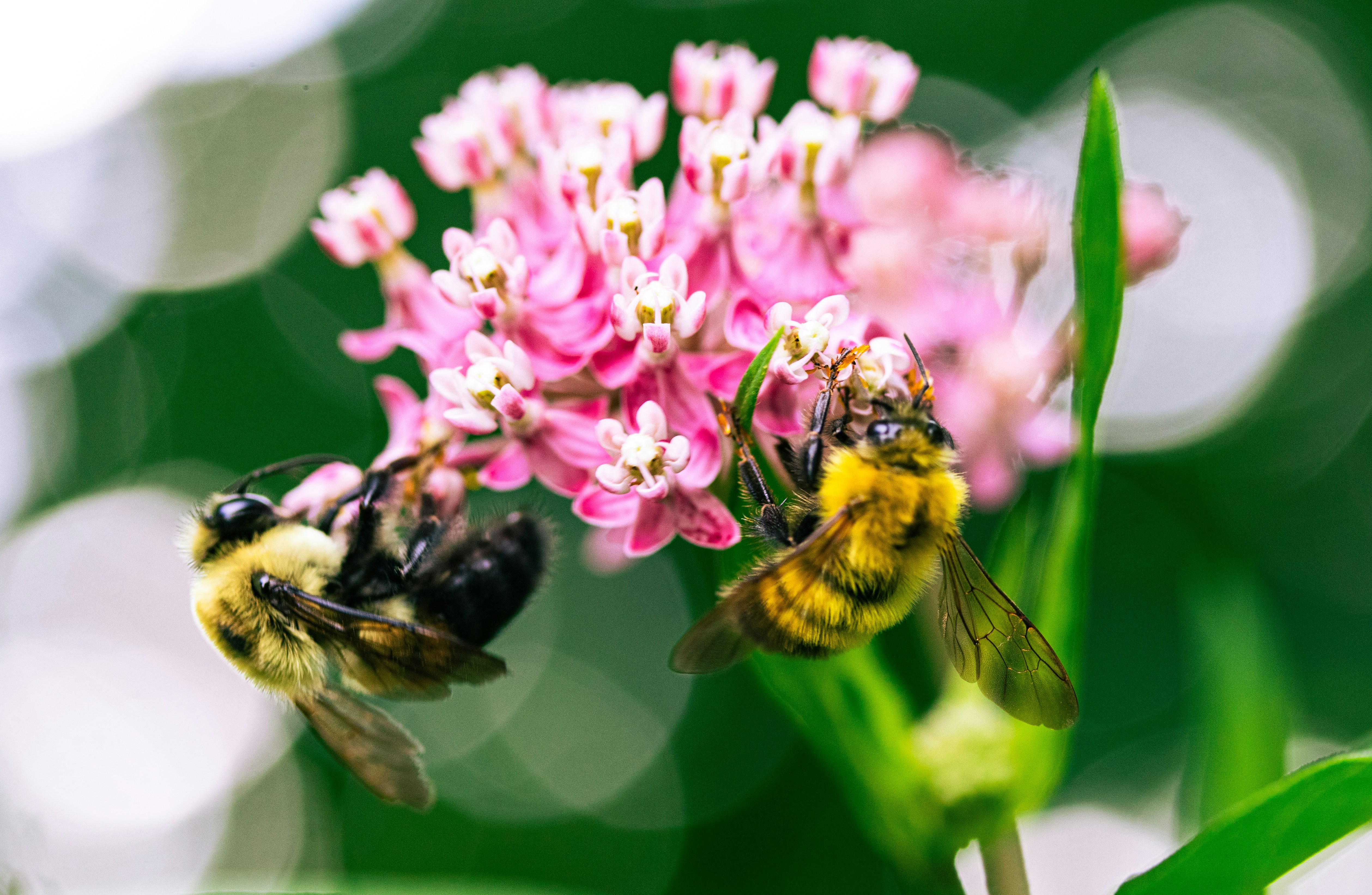 Photo by nicole_vans