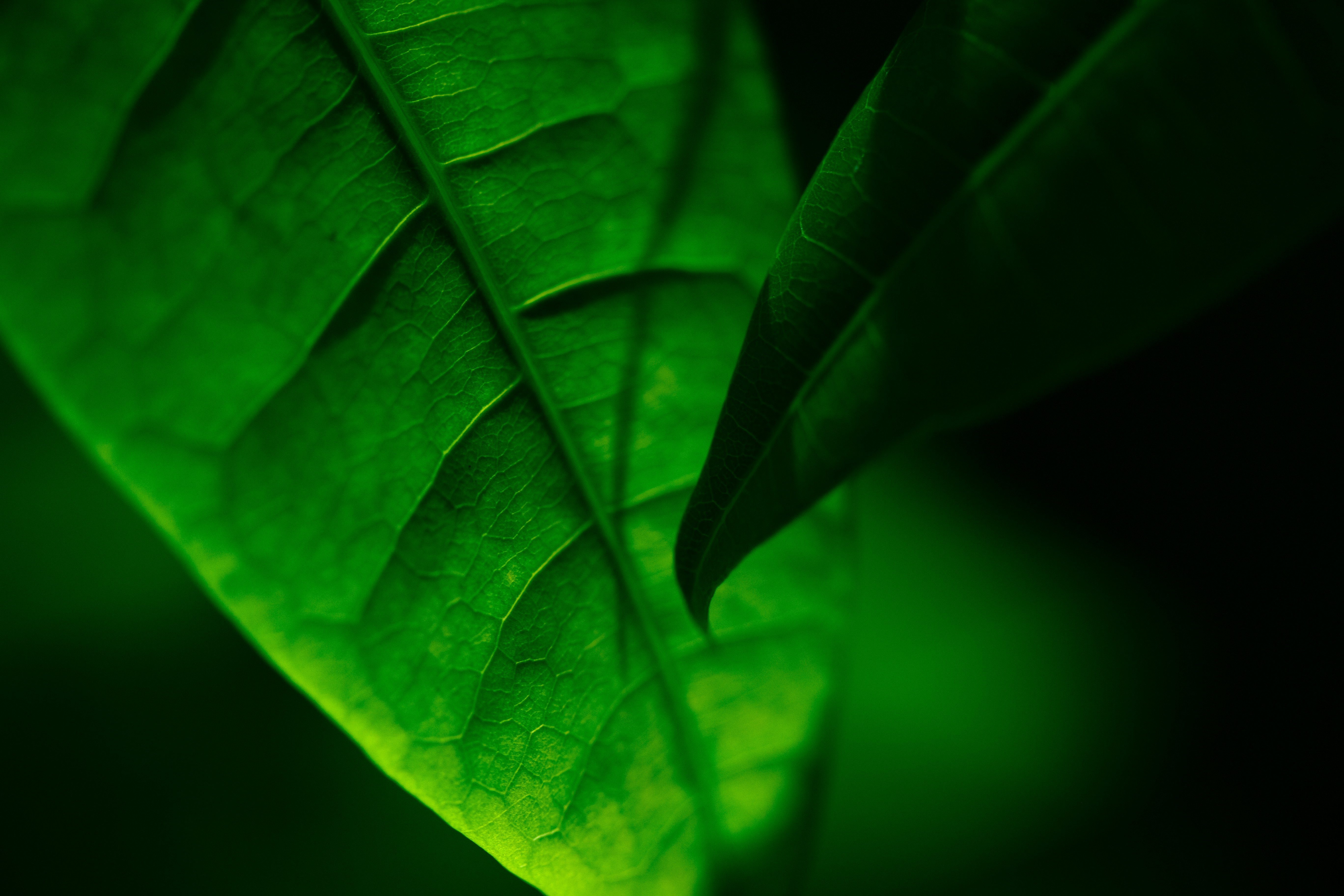 Photo by nicole_vans