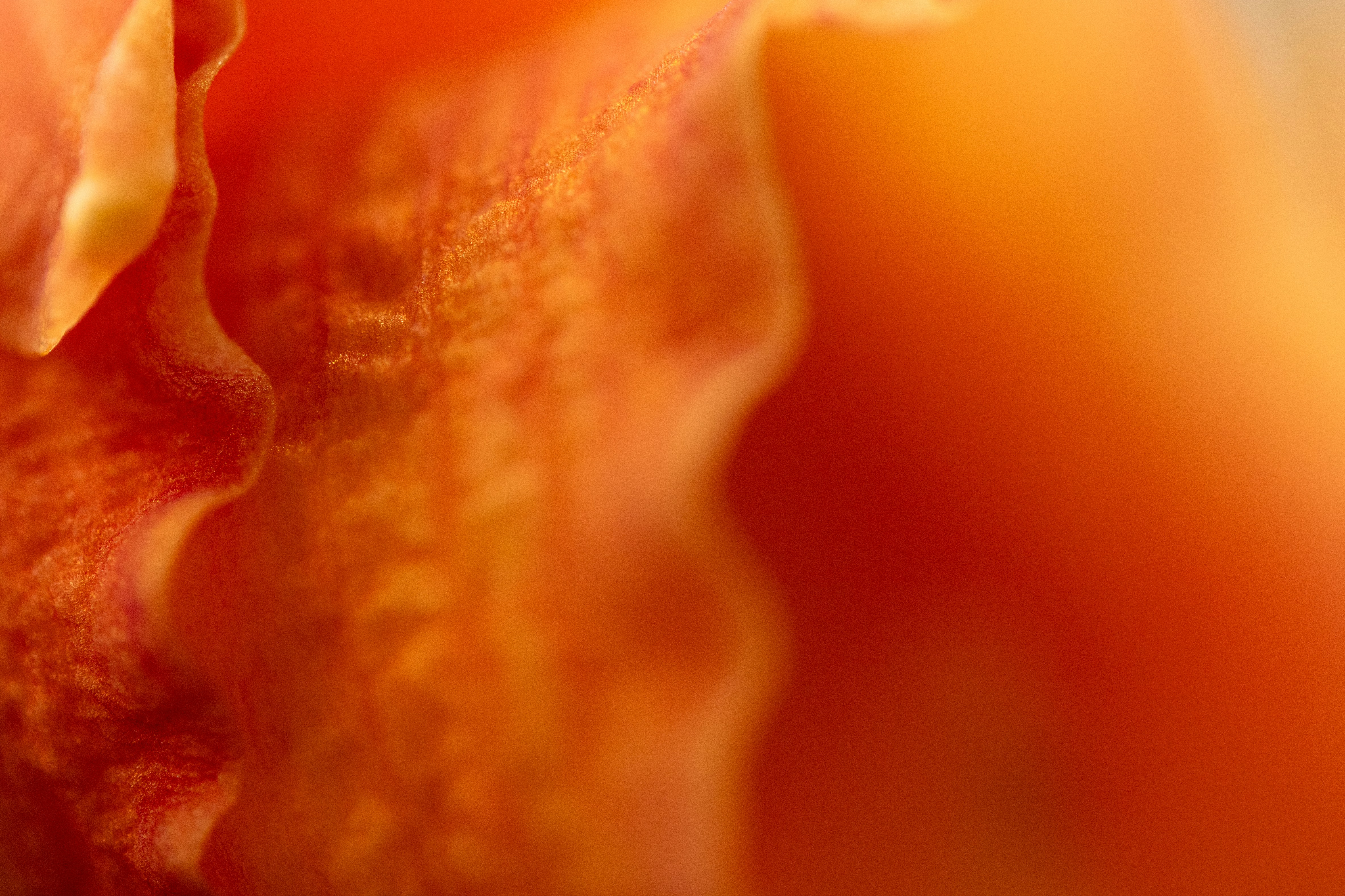 Photo by nicole_vans