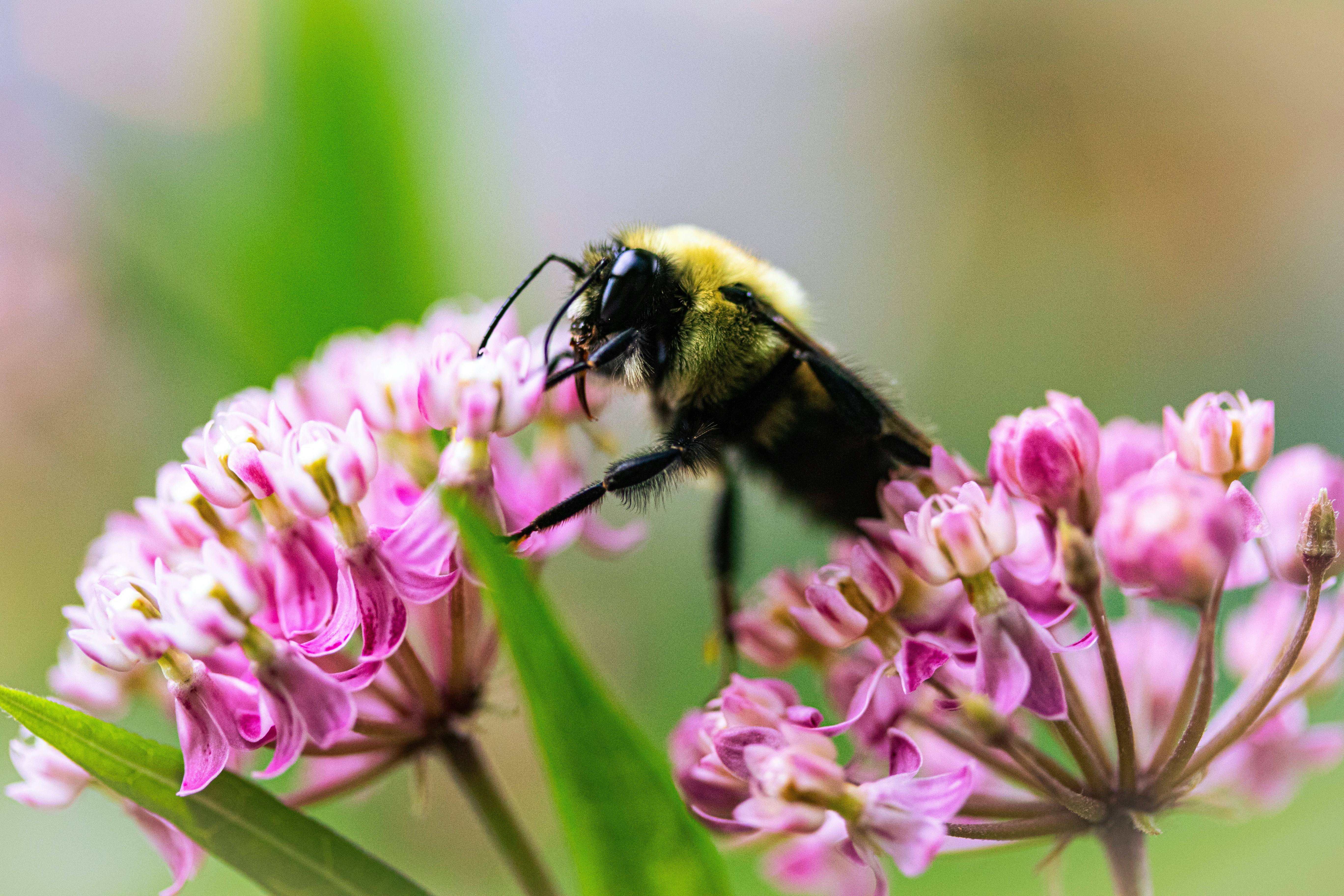 Photo by nicole_vans