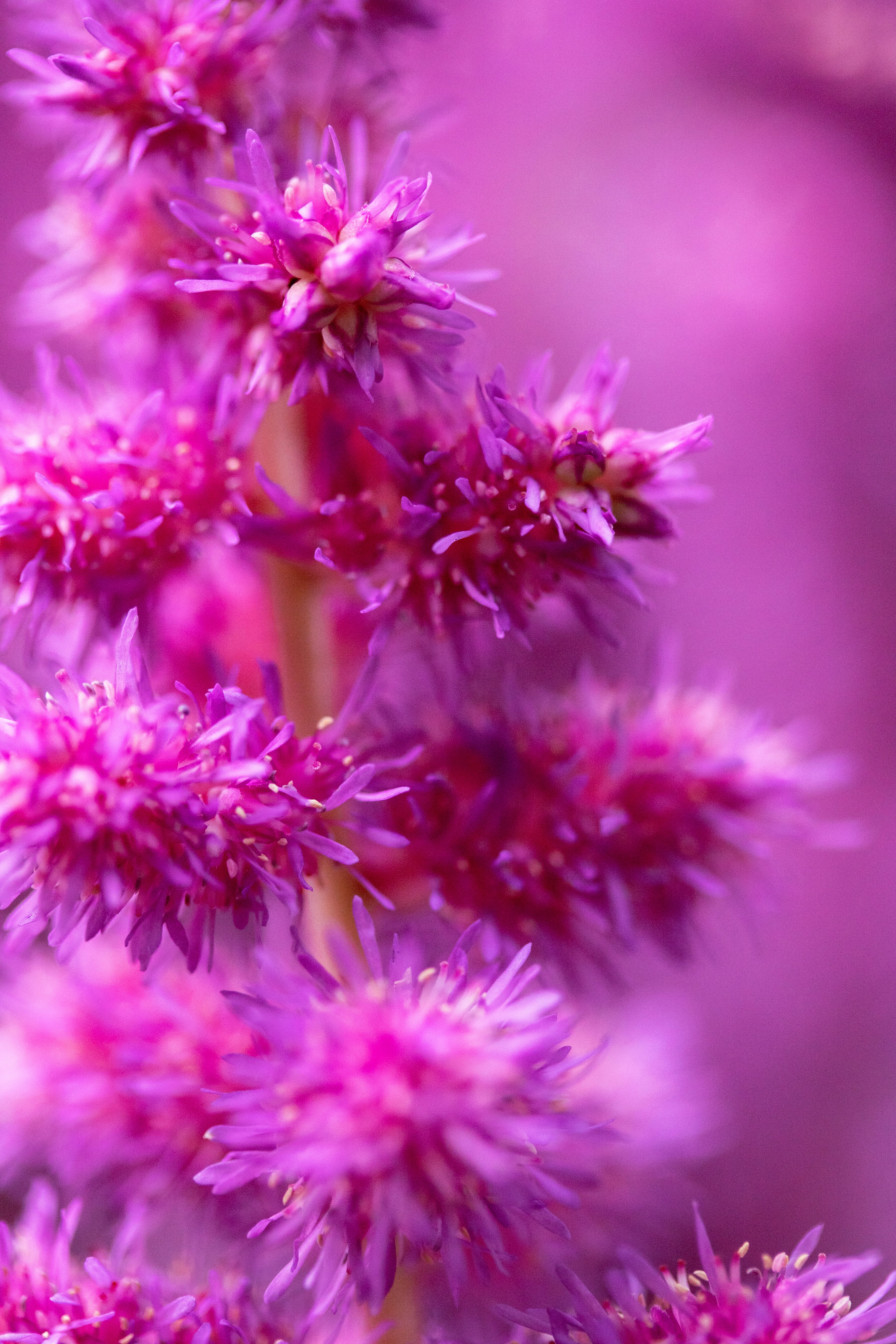 Photo by nicole_vans