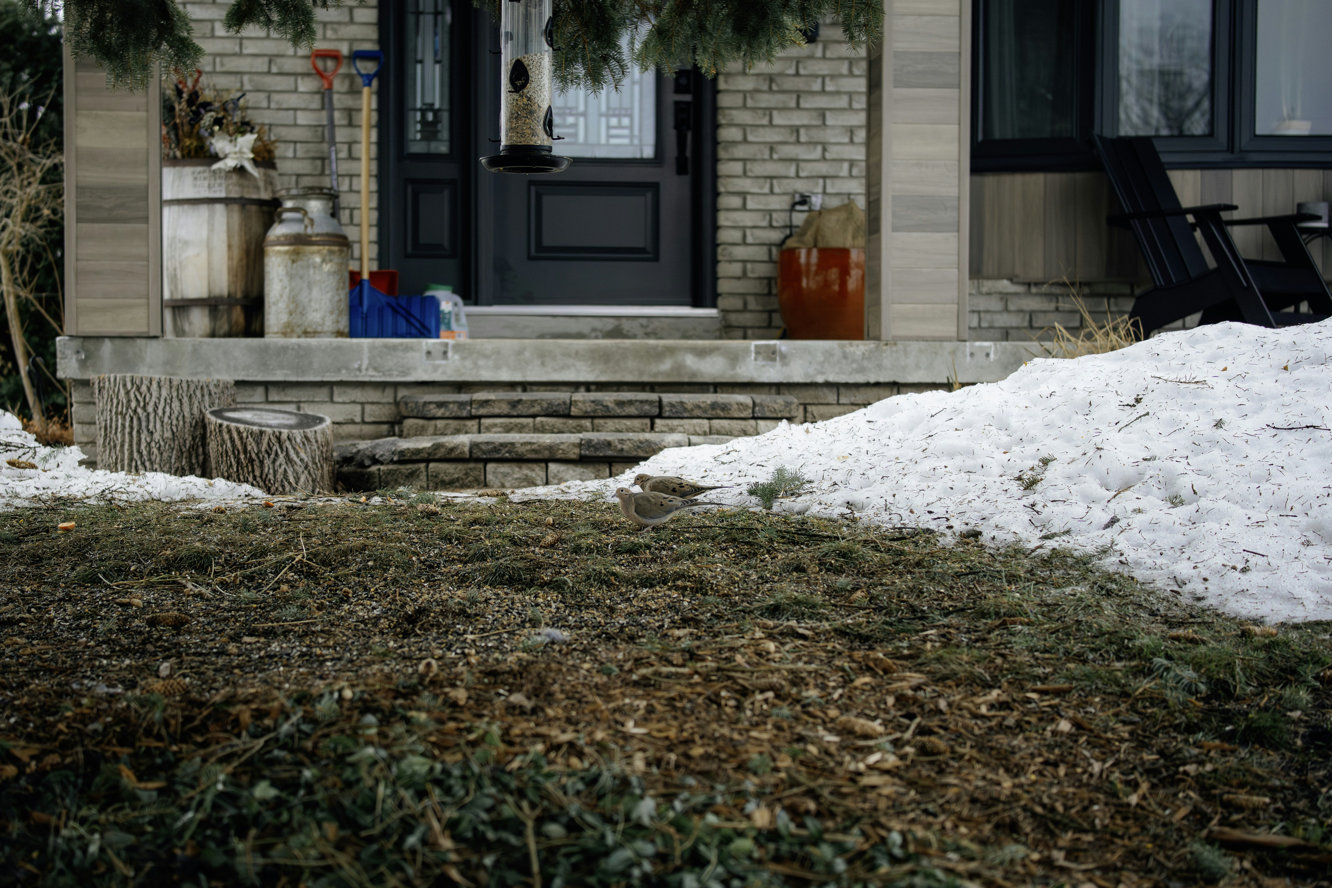 Winter scene with snow and bare bushes