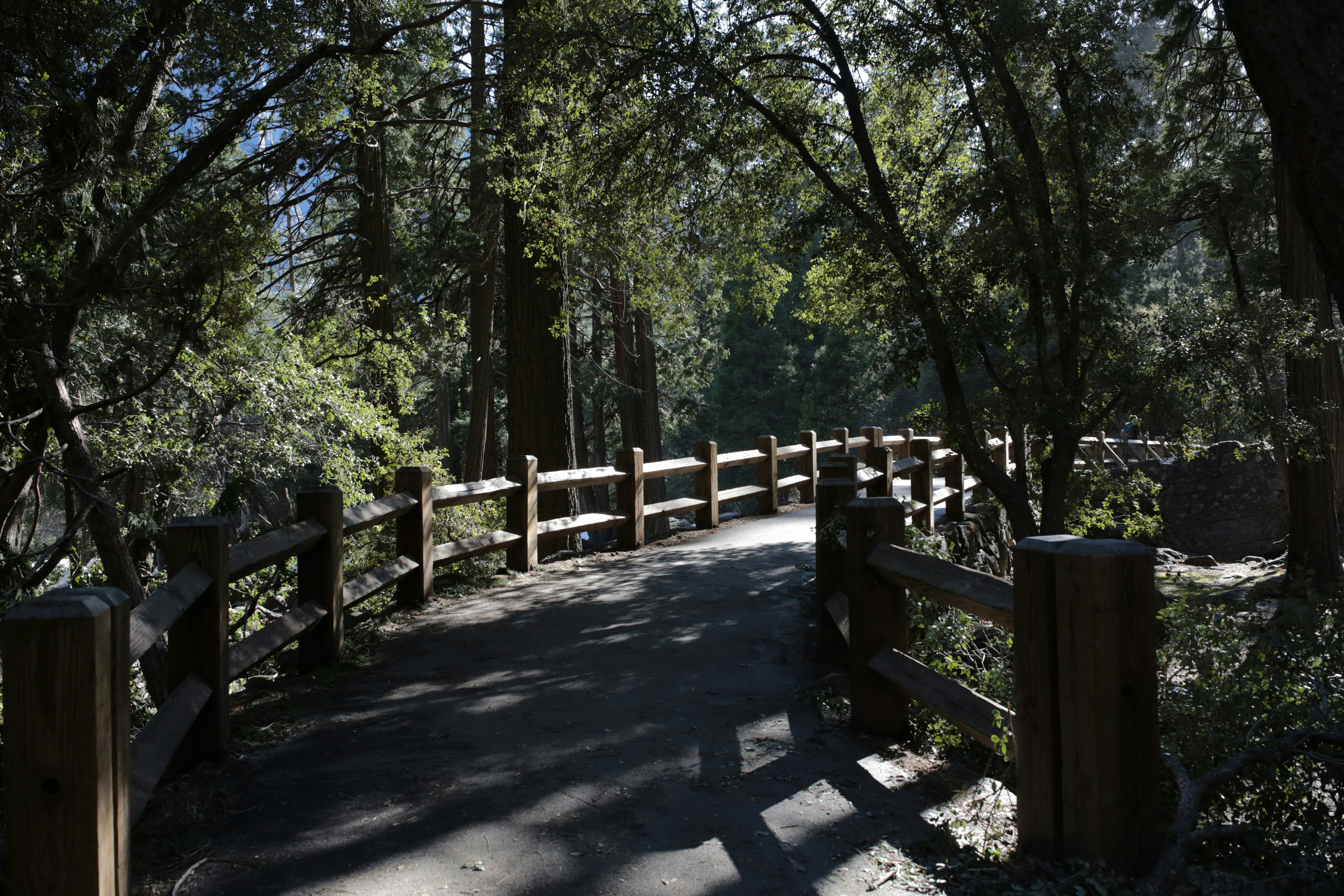 Too Good To Be True? 5.0★ from 60 Buyers - March 13, 2026