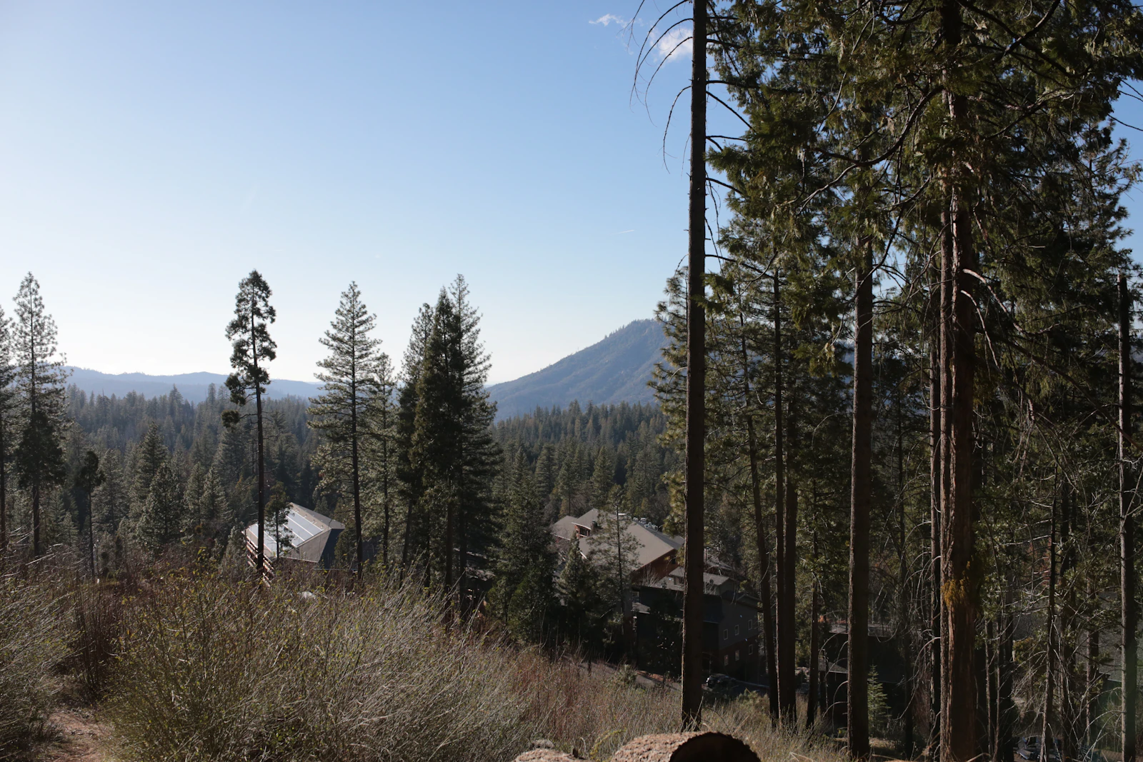 New Construction vs. Resale in Grass Valley: Which Fits Your Budget