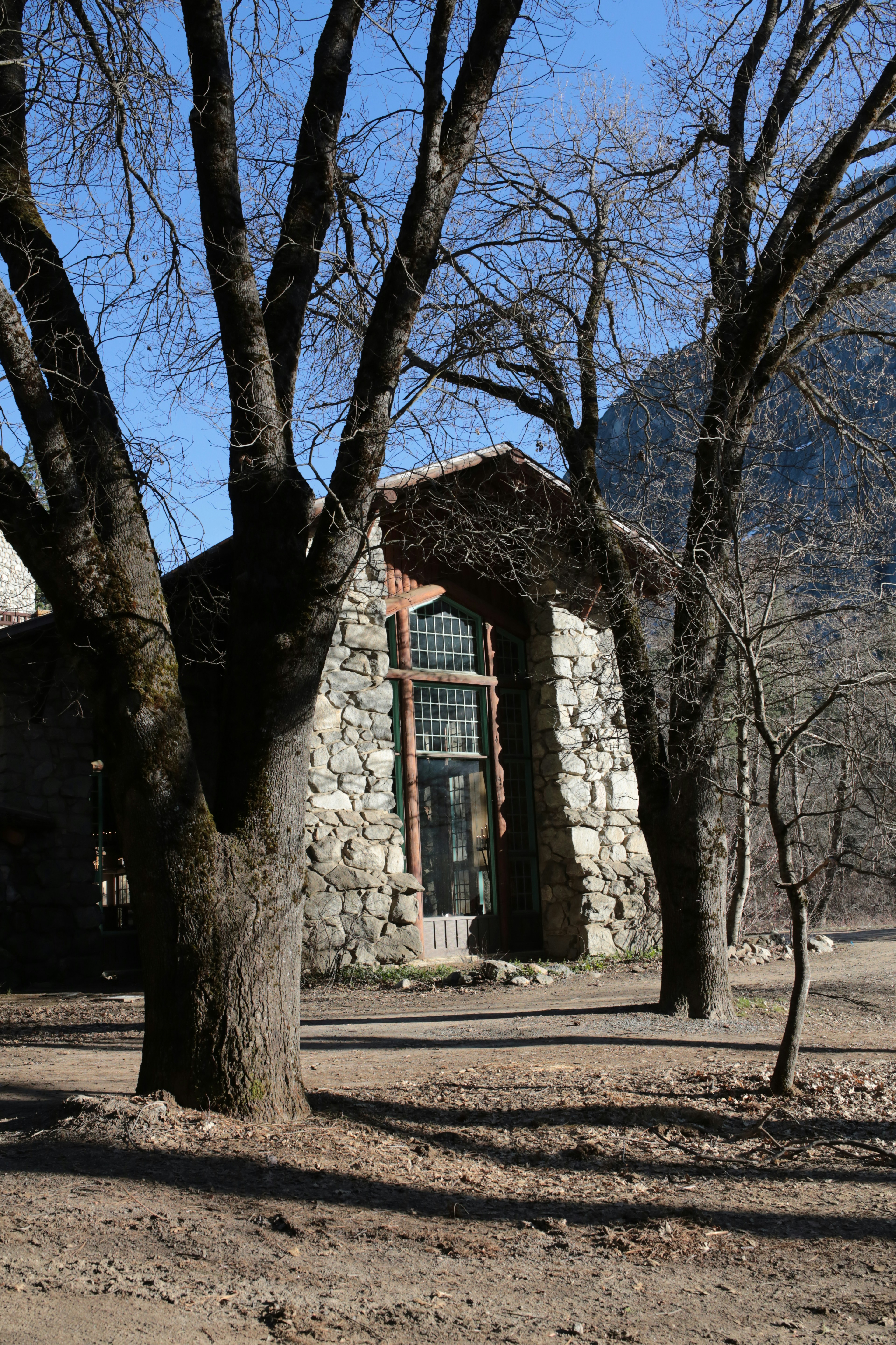 Stone building with large windows framed by trees