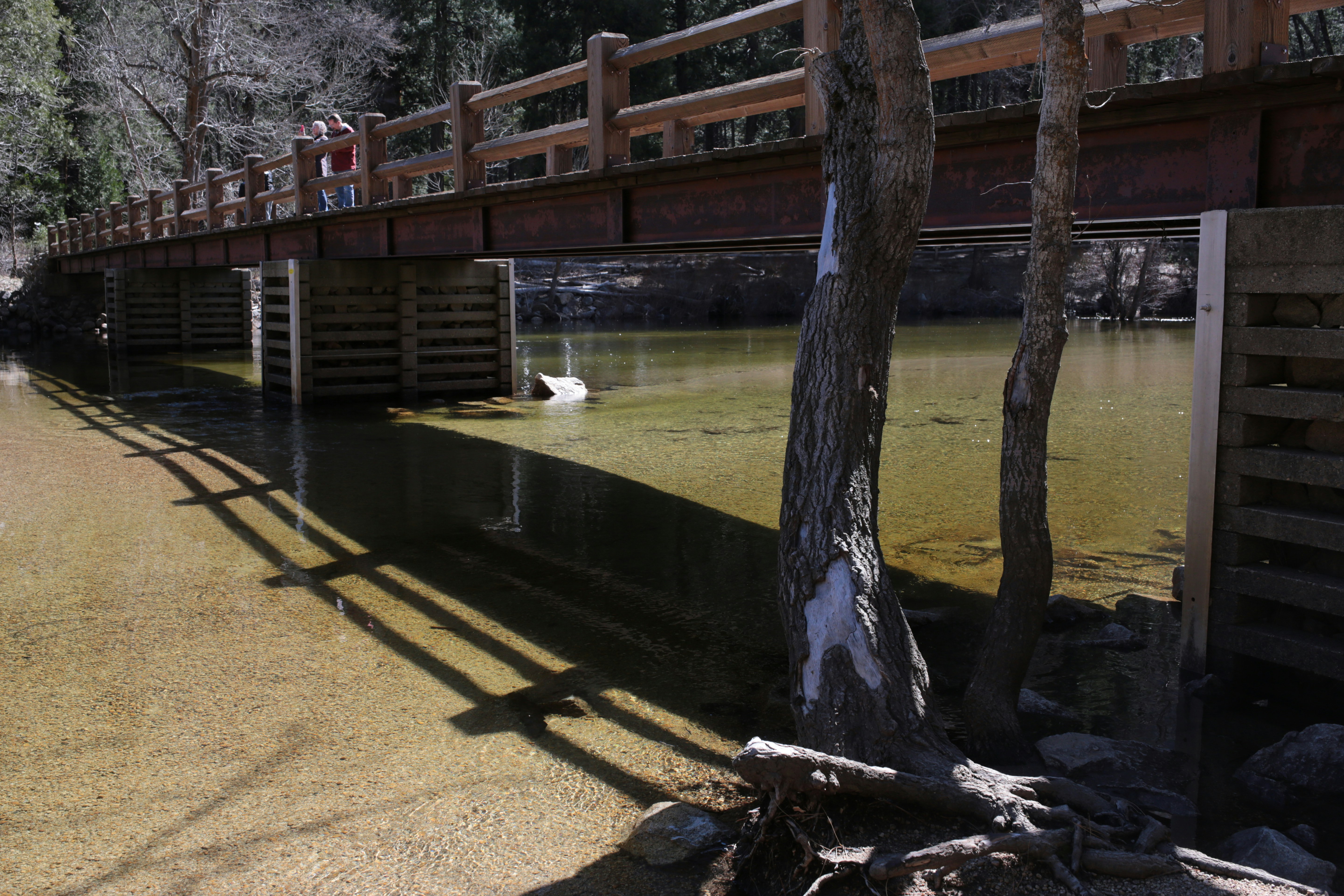 Wooden bridge over a calm river with trees.