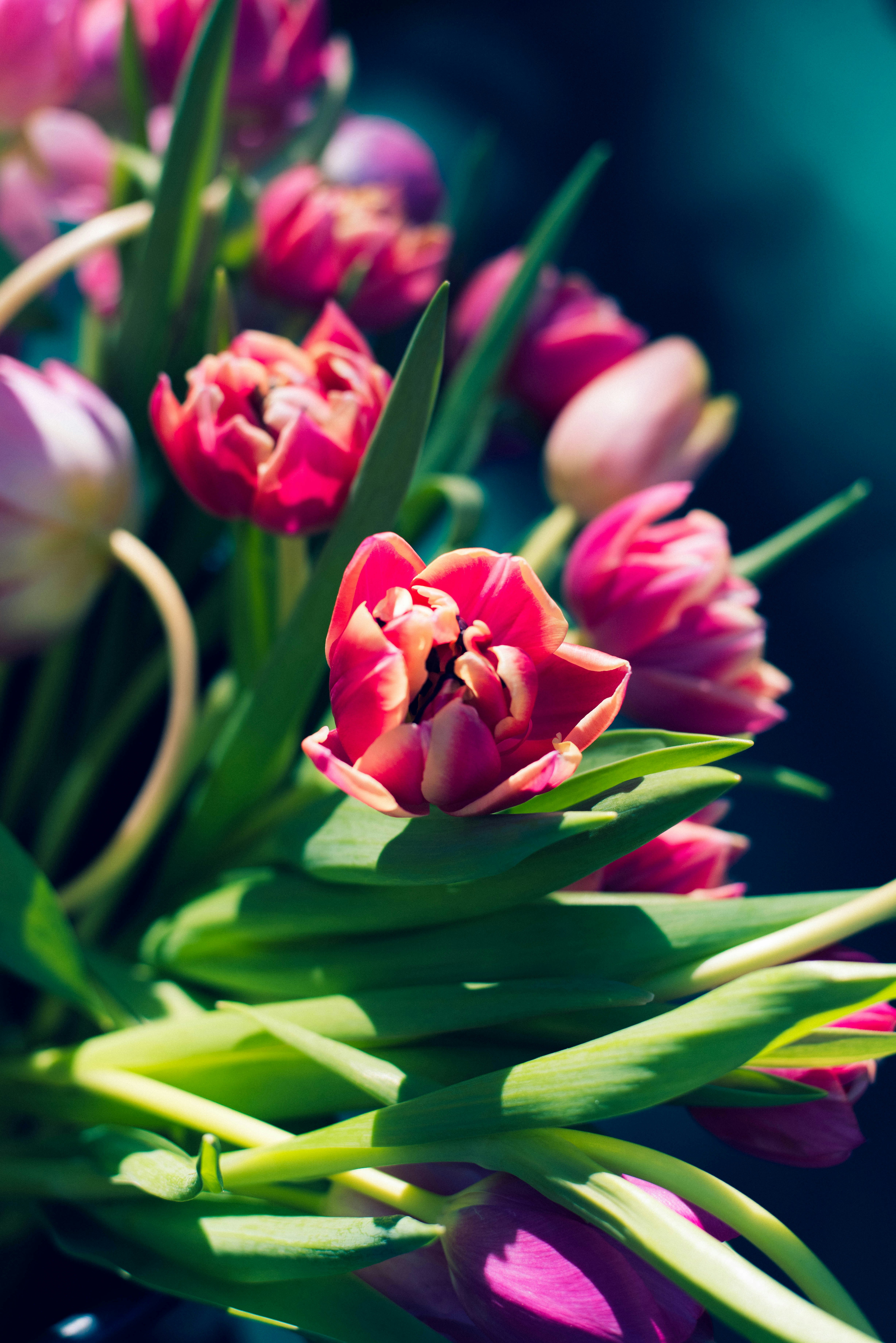 Photo by mary_schultz