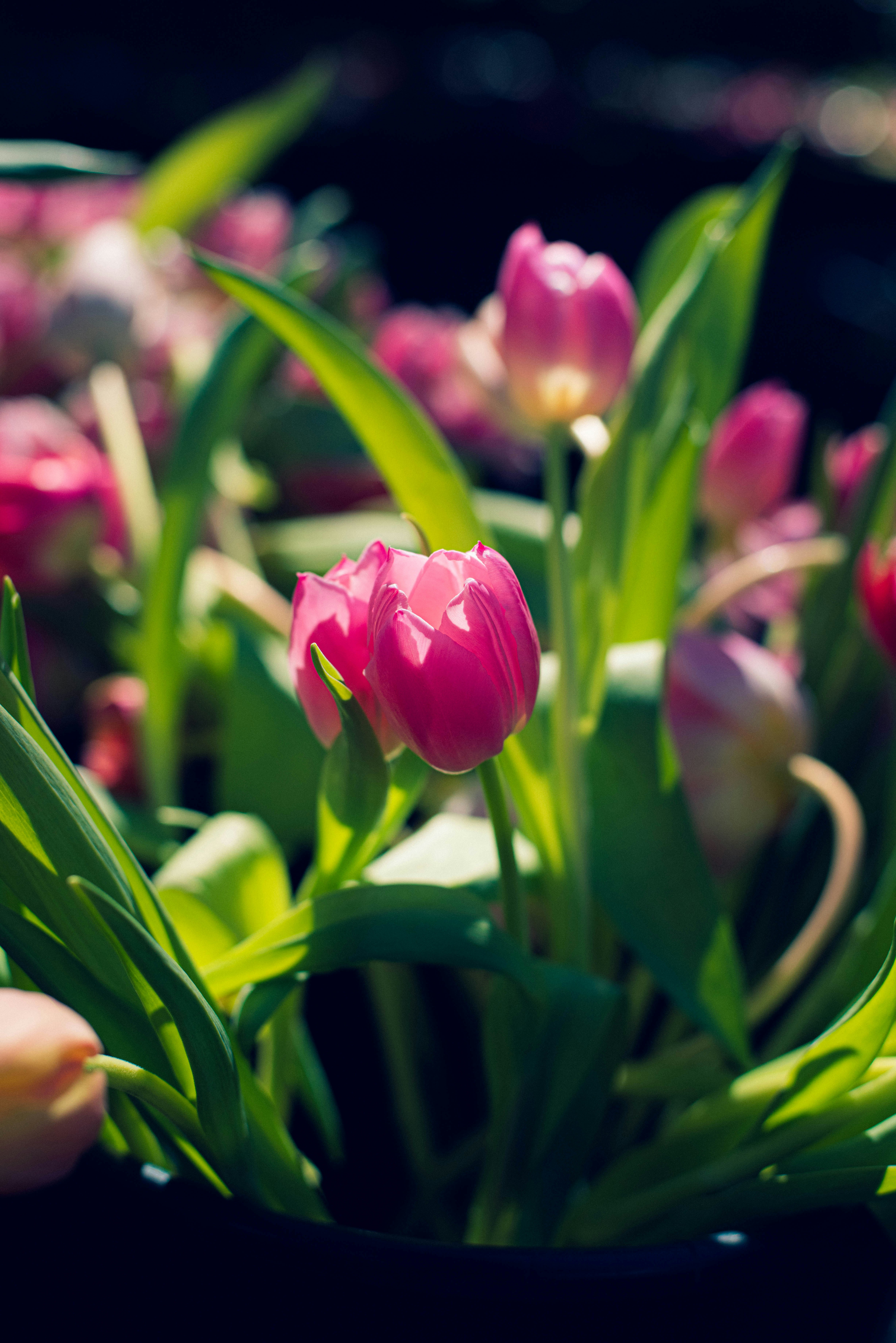 Photo by mary_schultz