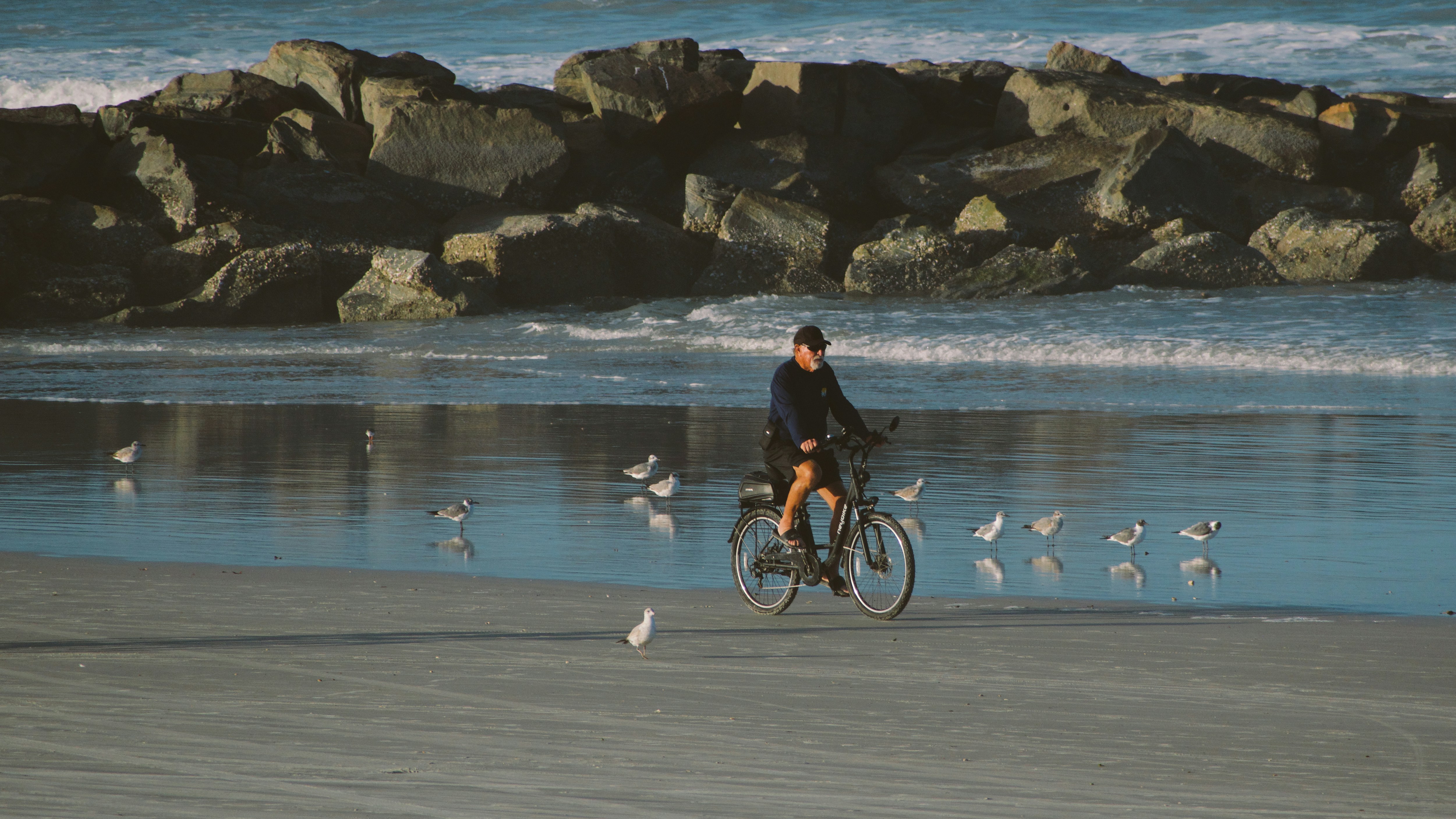 Person rides bicycle on beach with seagulls