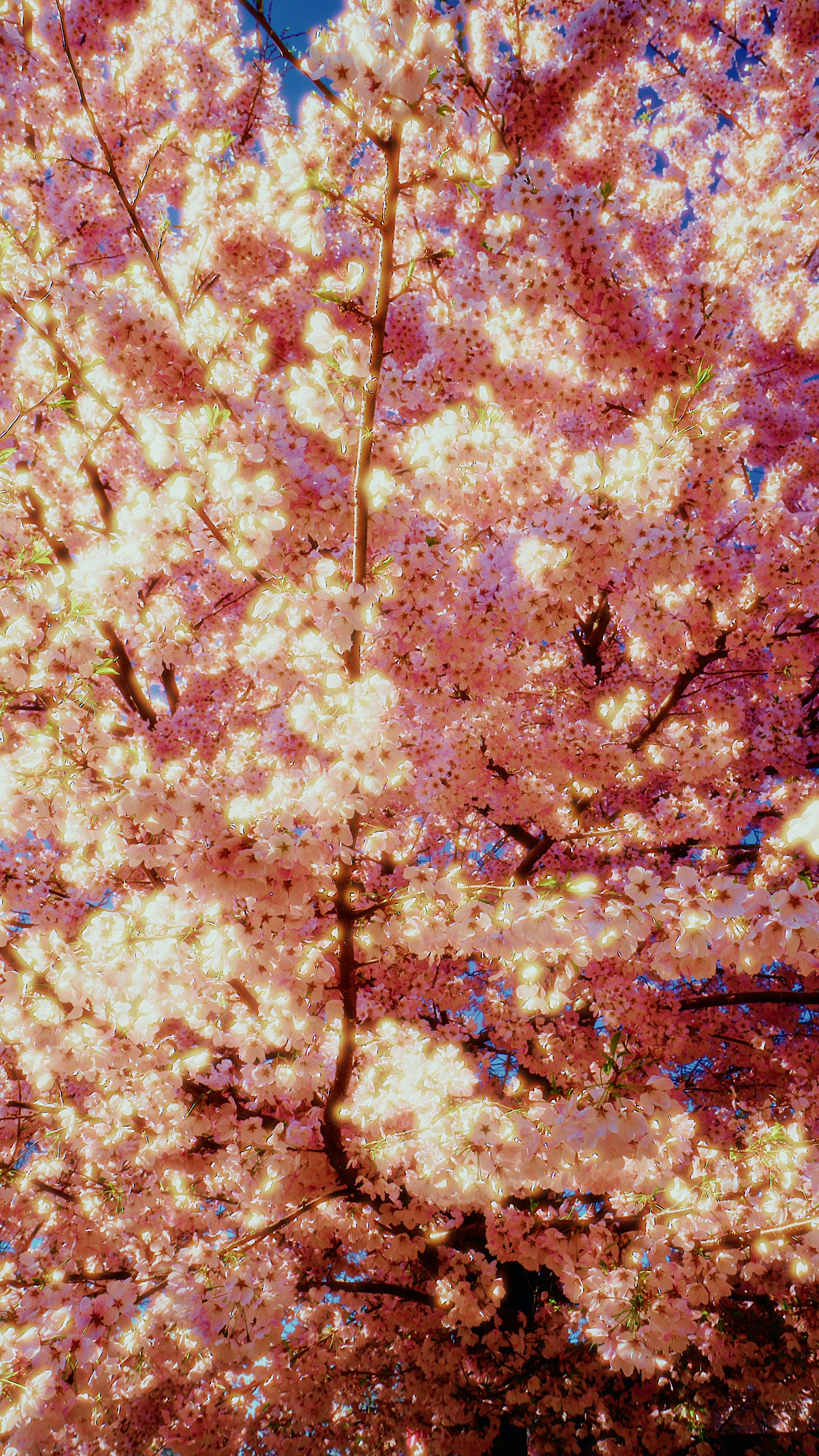 Photo by theolaflamme