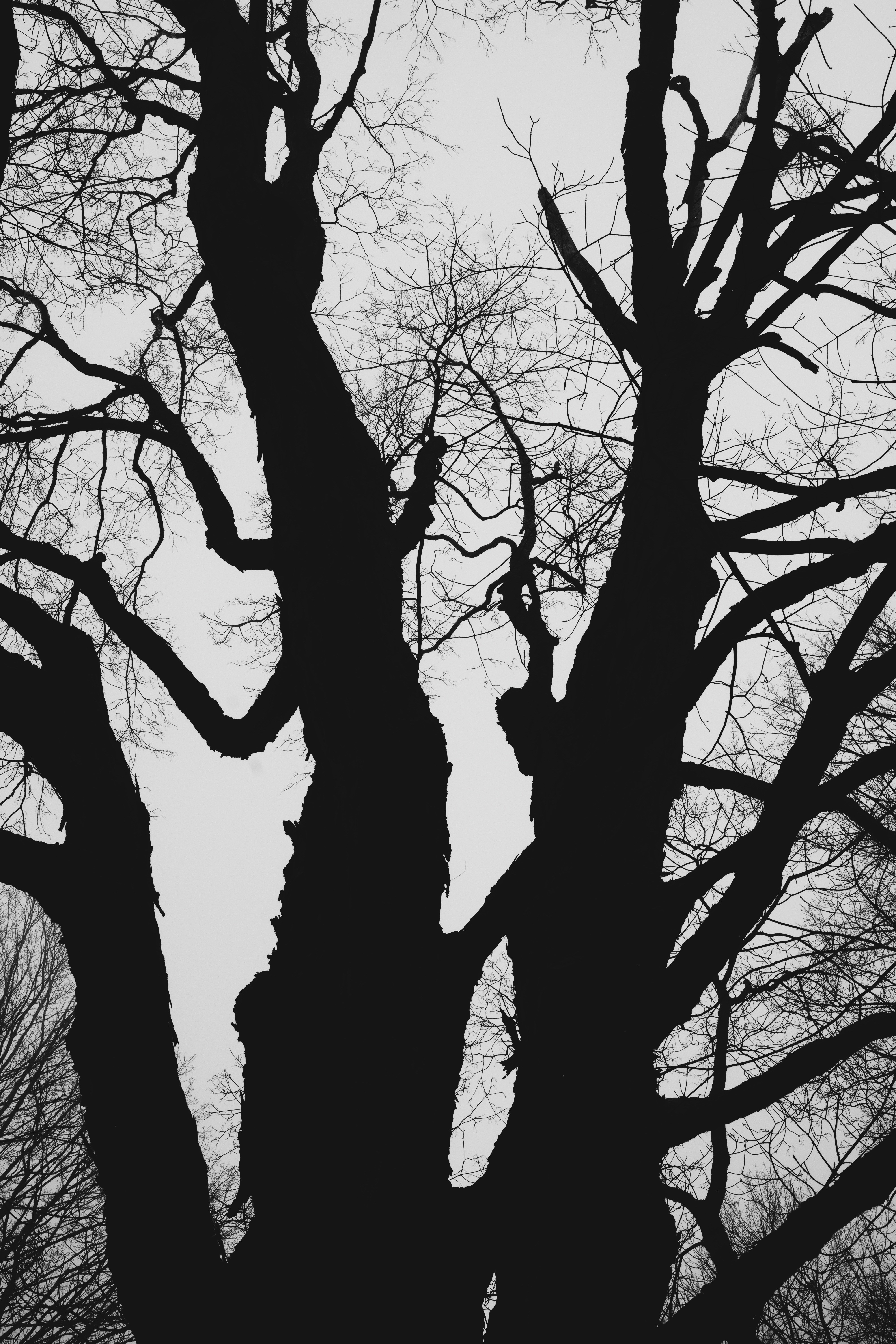 Photo by theolaflamme