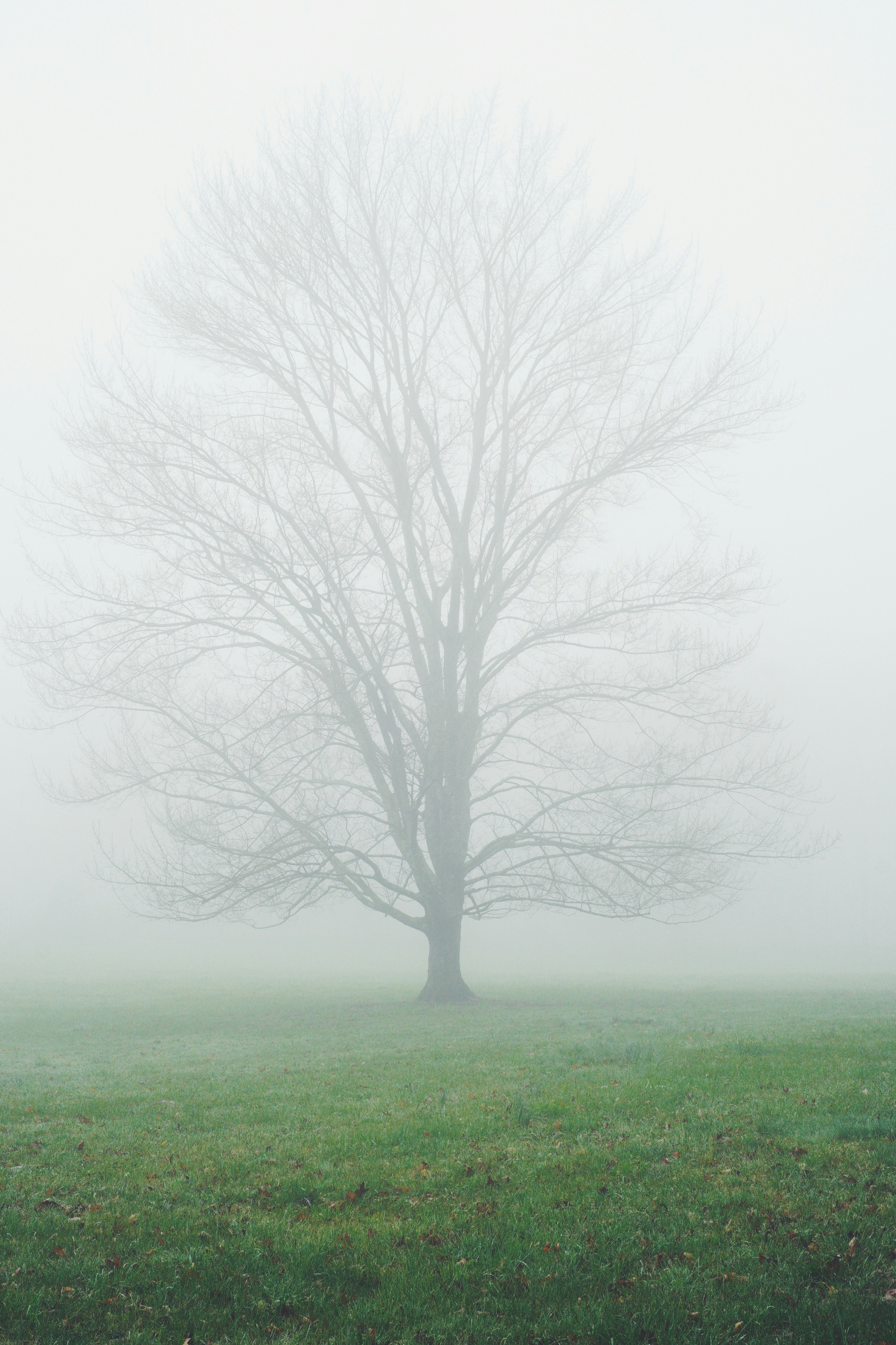 Photo by theolaflamme