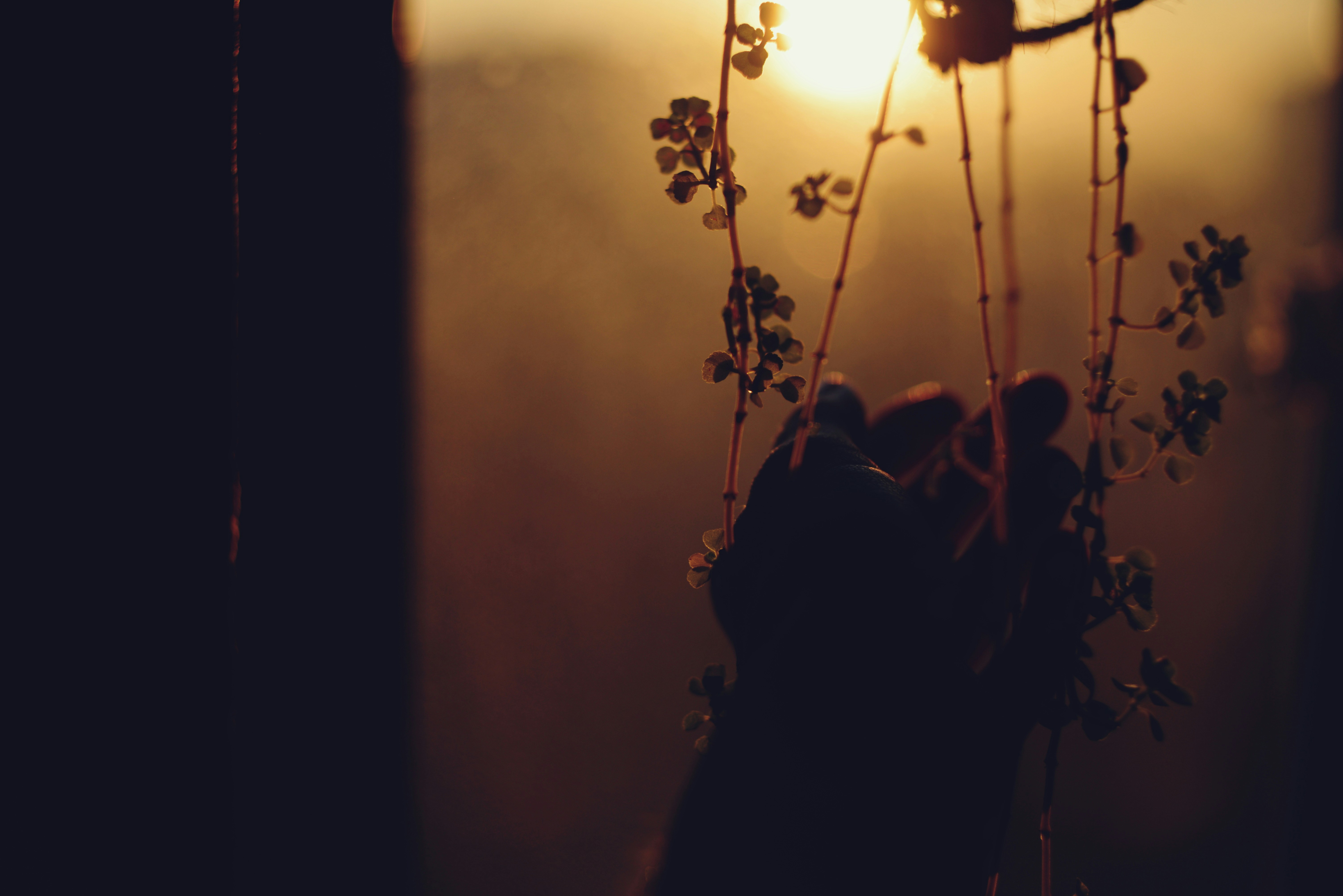 Photo by cherstve_pechivo