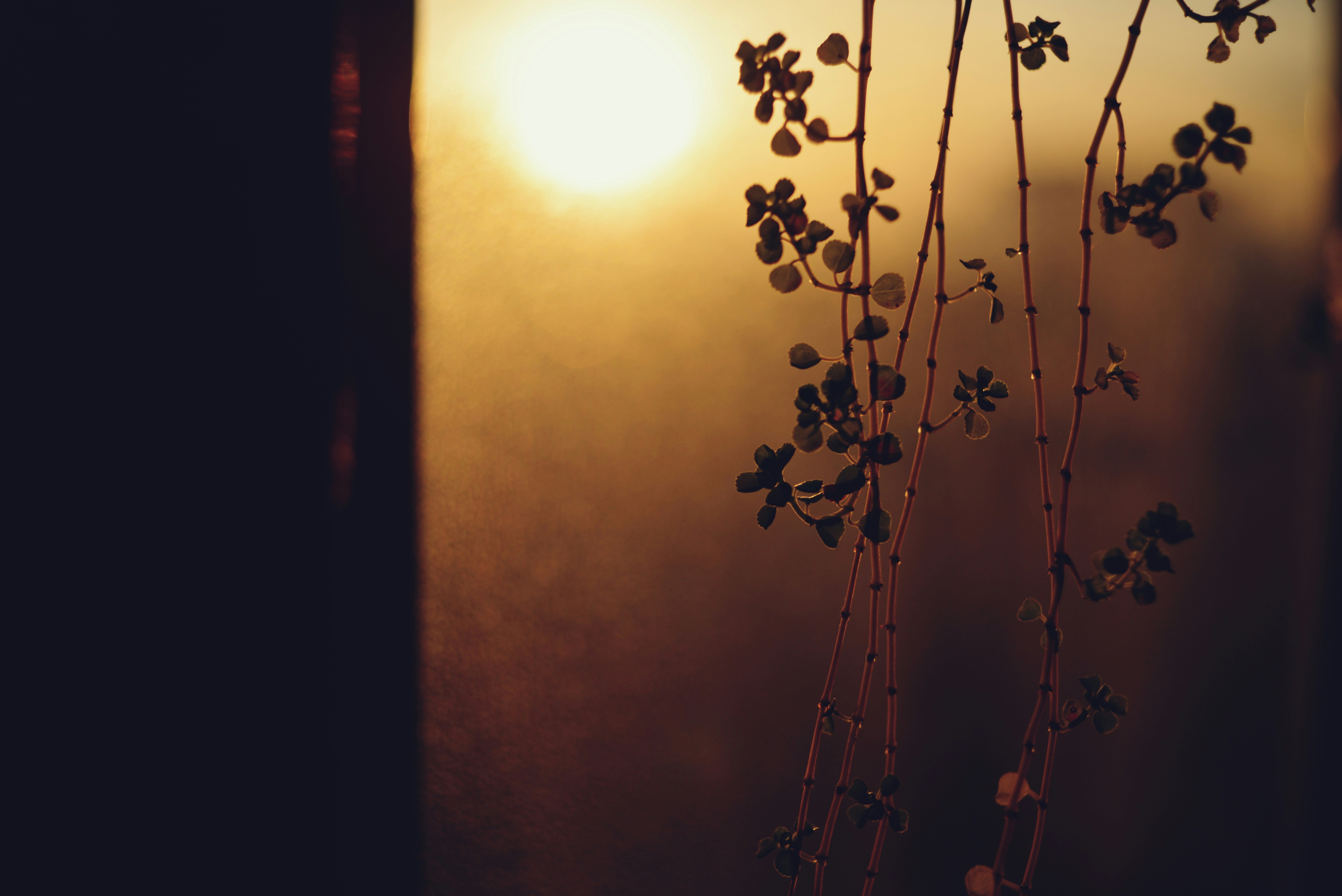 Photo by cherstve_pechivo