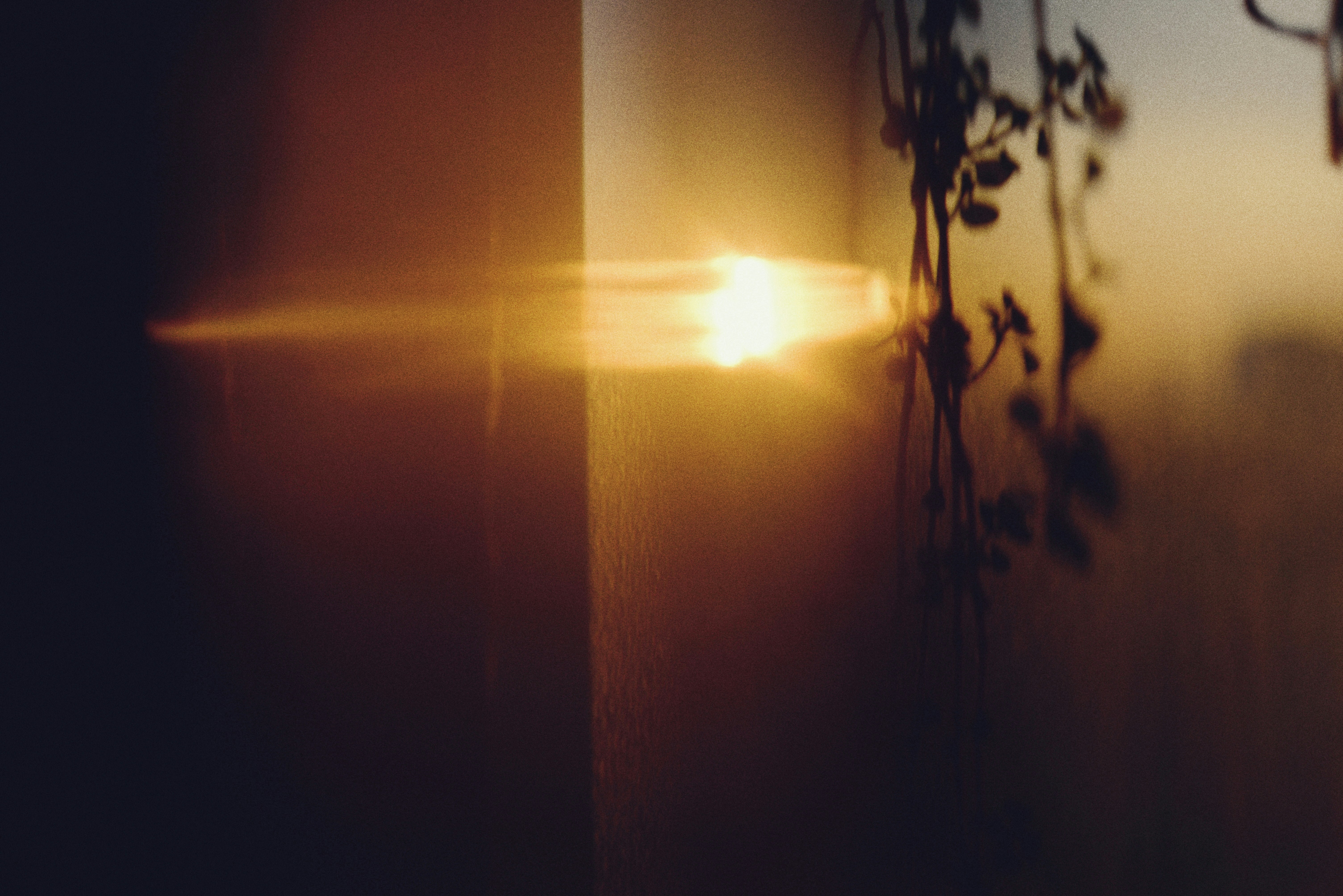 Photo by cherstve_pechivo