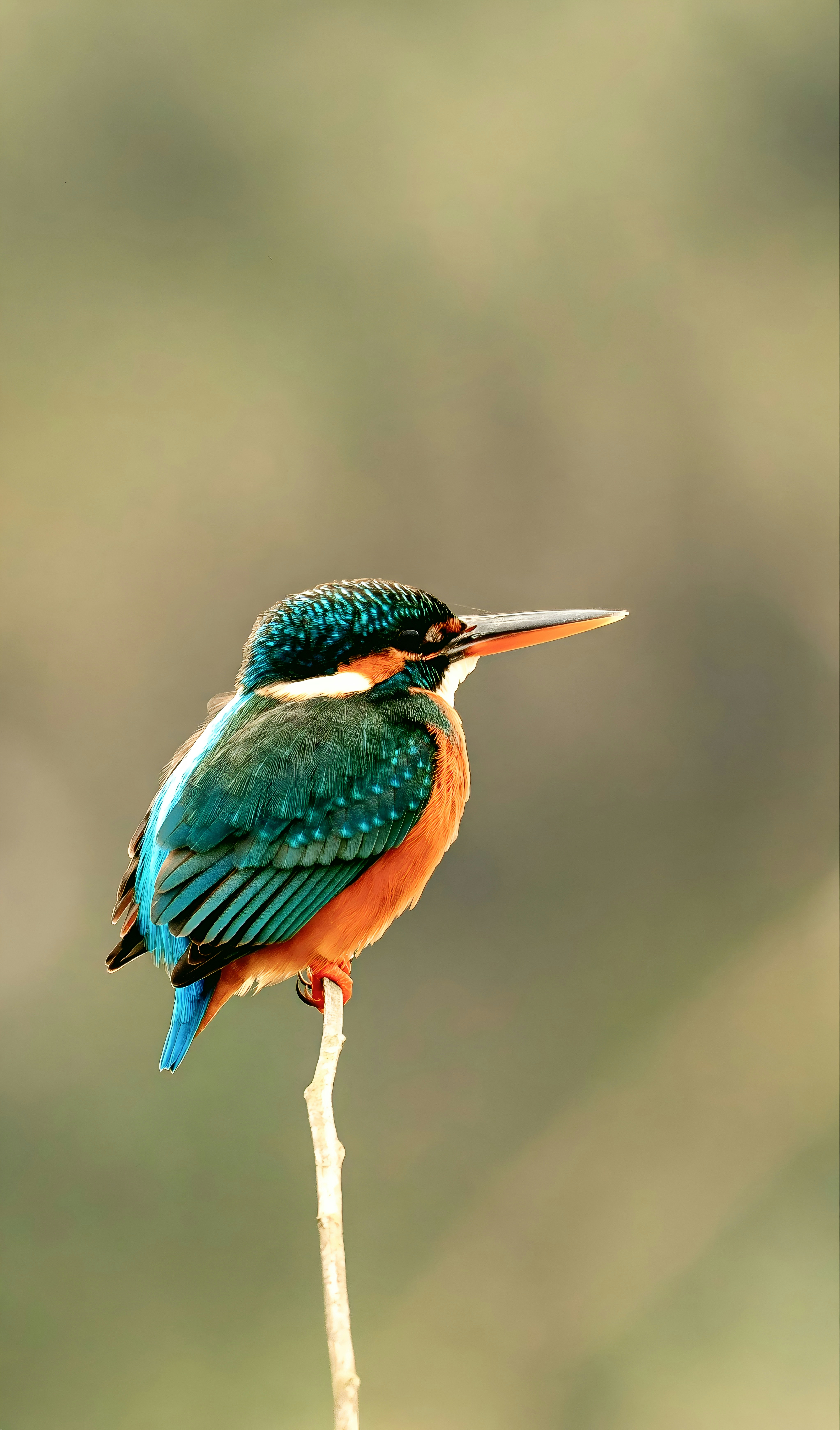 Photo by mamunsheikh