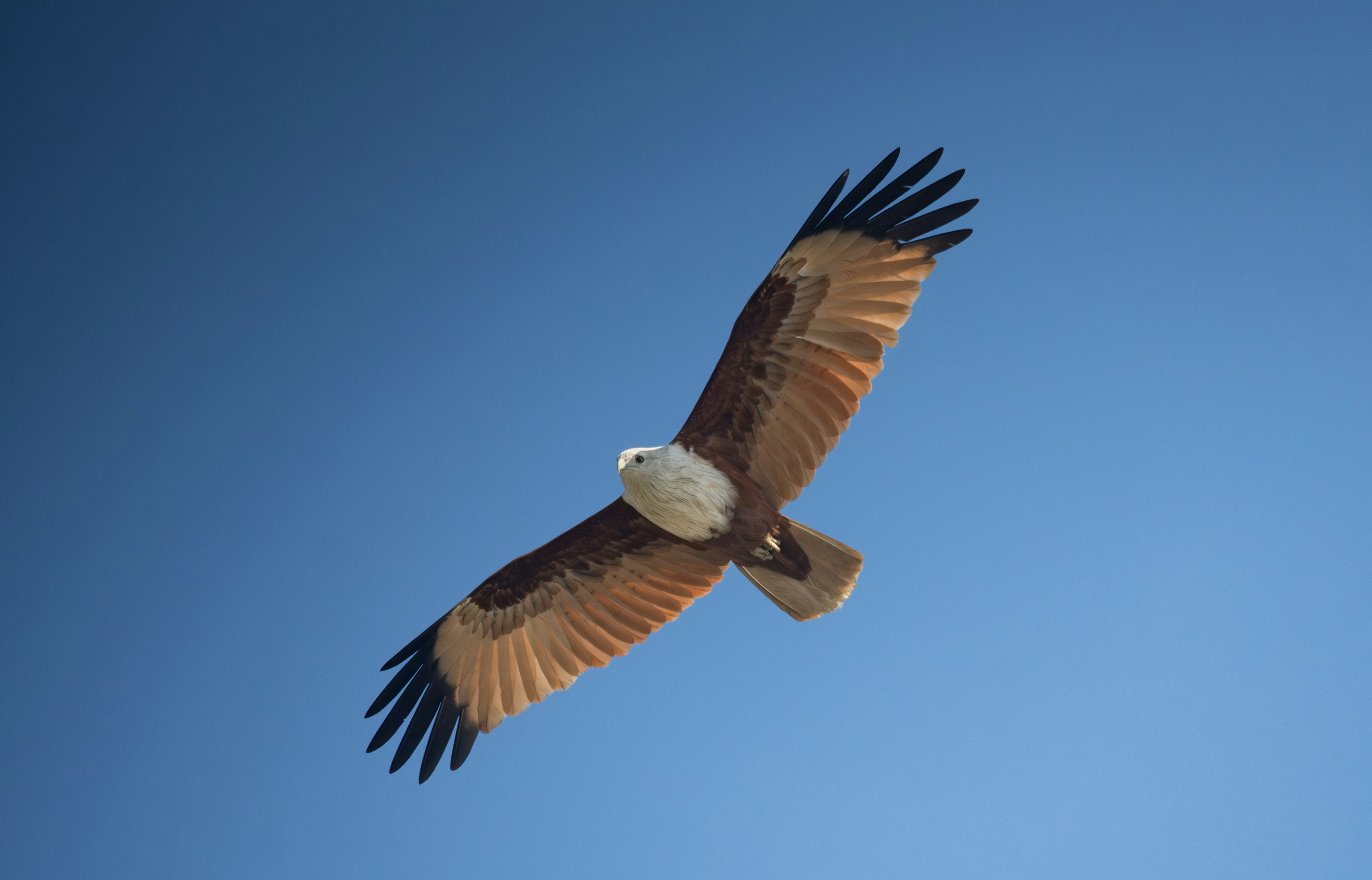 Photo by mamunsheikh